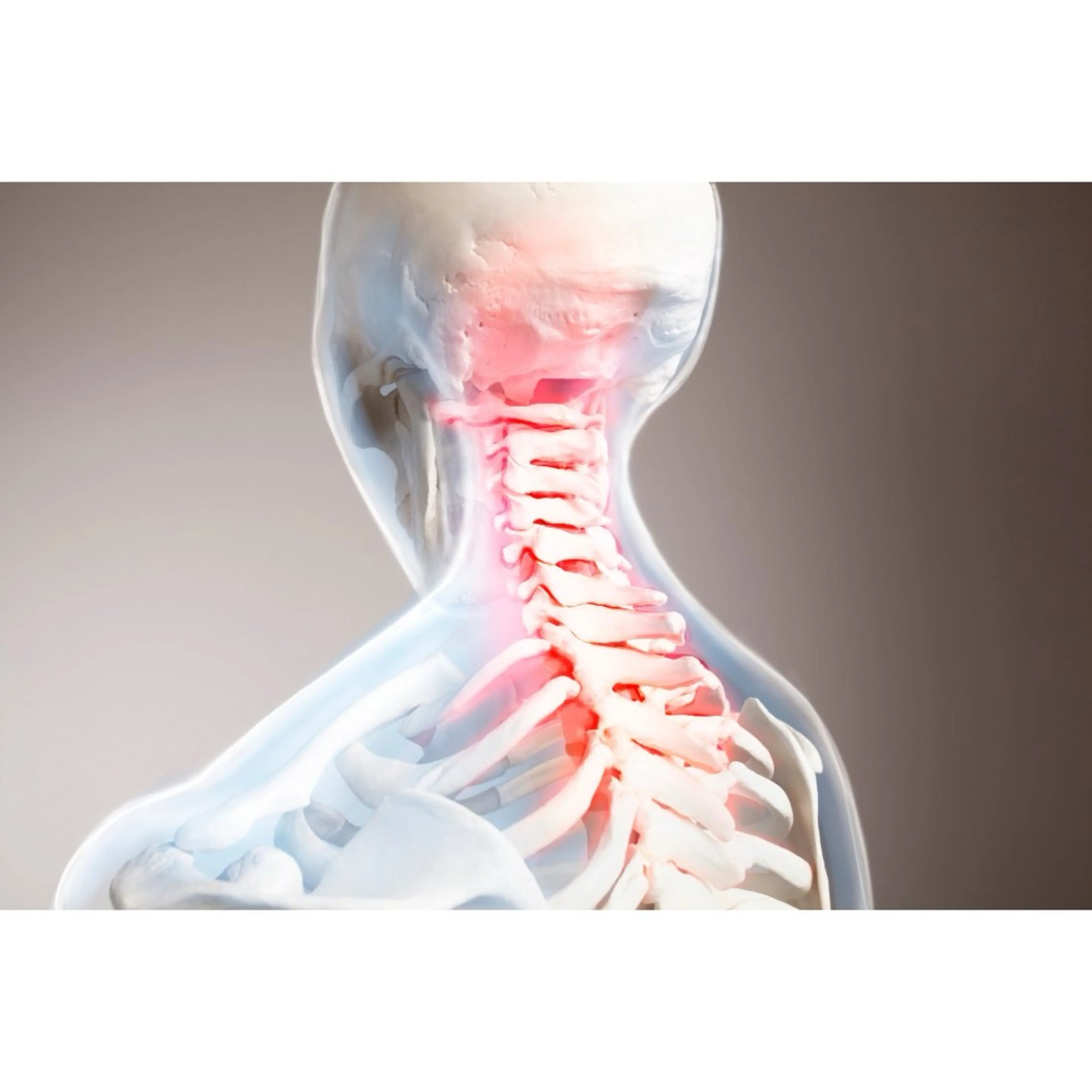 【木曜限定】【頭痛・眼精疲労＋首肩こりにお悩みの方】上半身集中マッサージコース(首・肩・背中)の写真