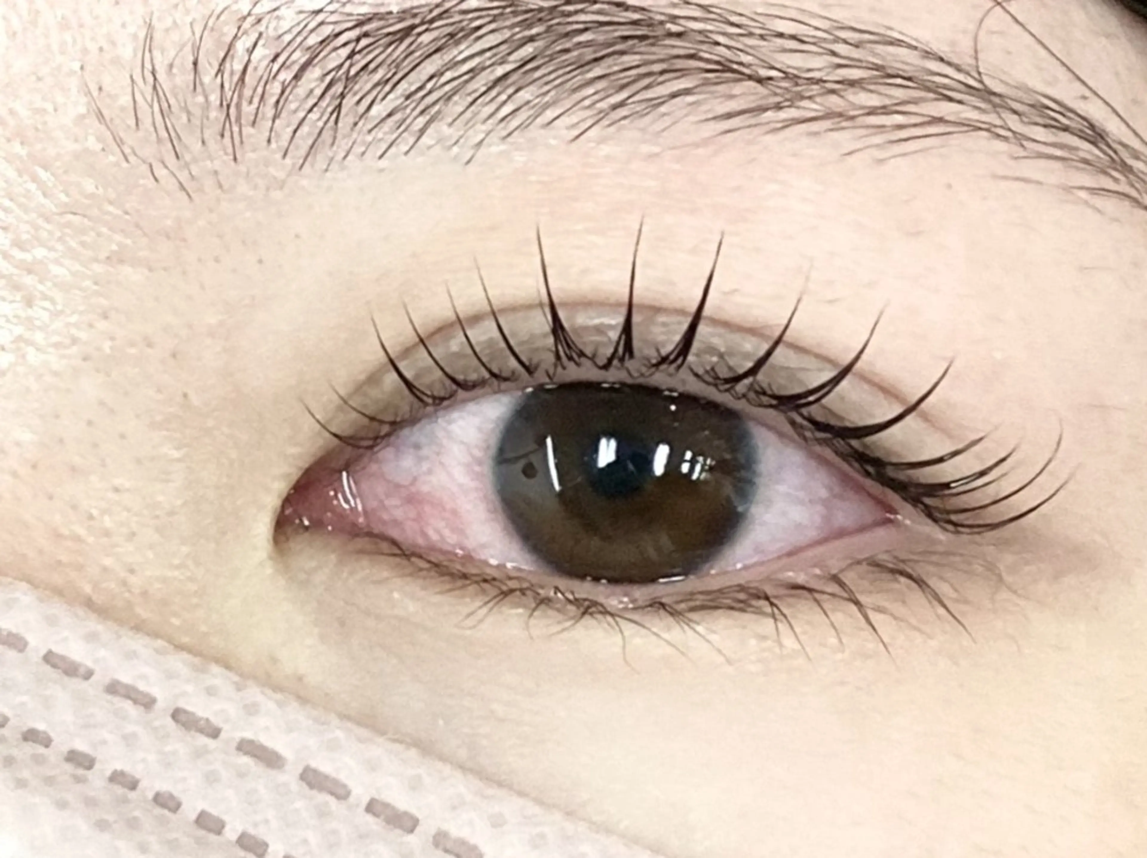 まつ毛パーマ/ラッシュリフトの写真