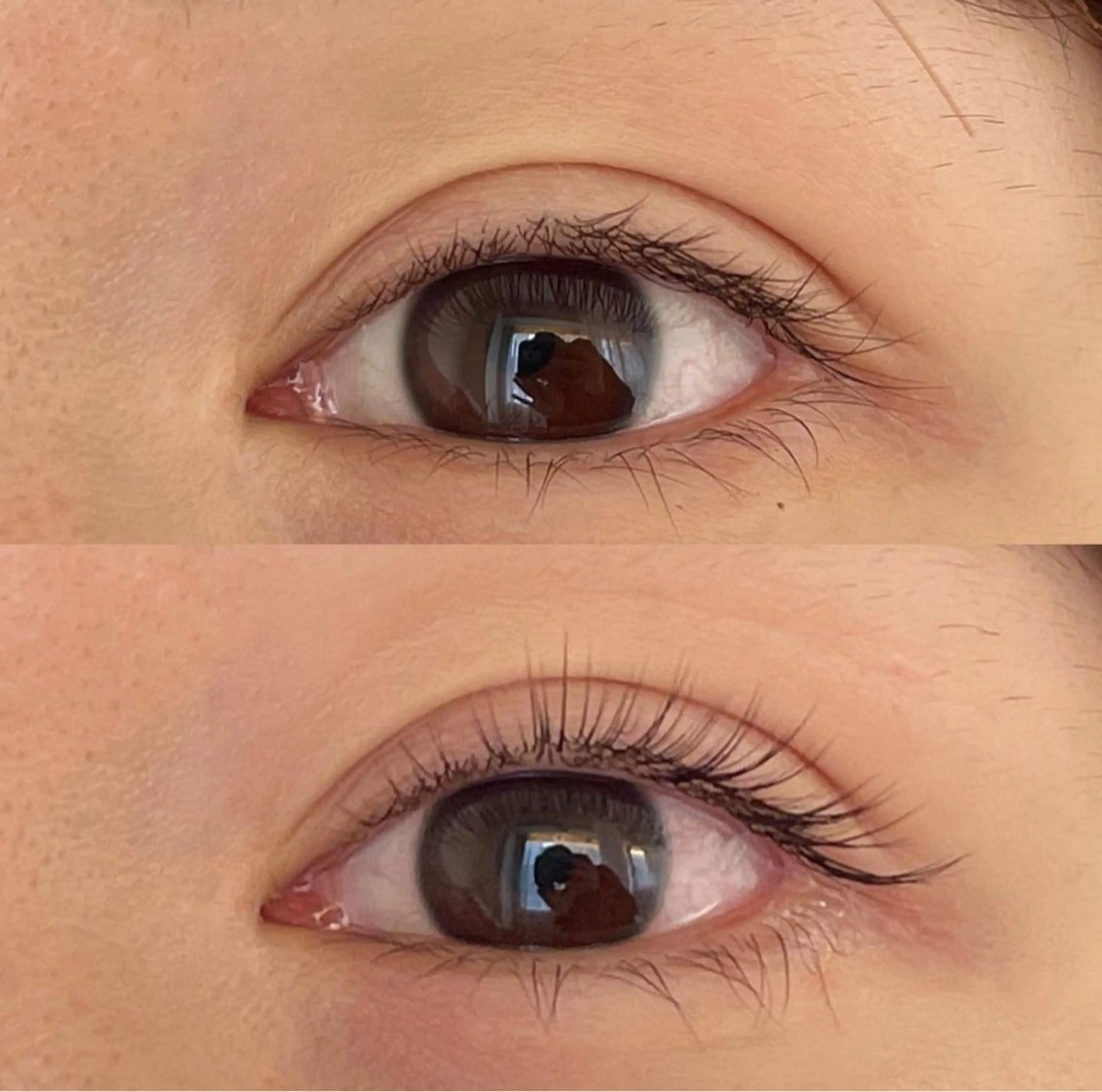 マツエク・マツパ Embellir/ "Aine"🕊のマツエク・マツパデザイン