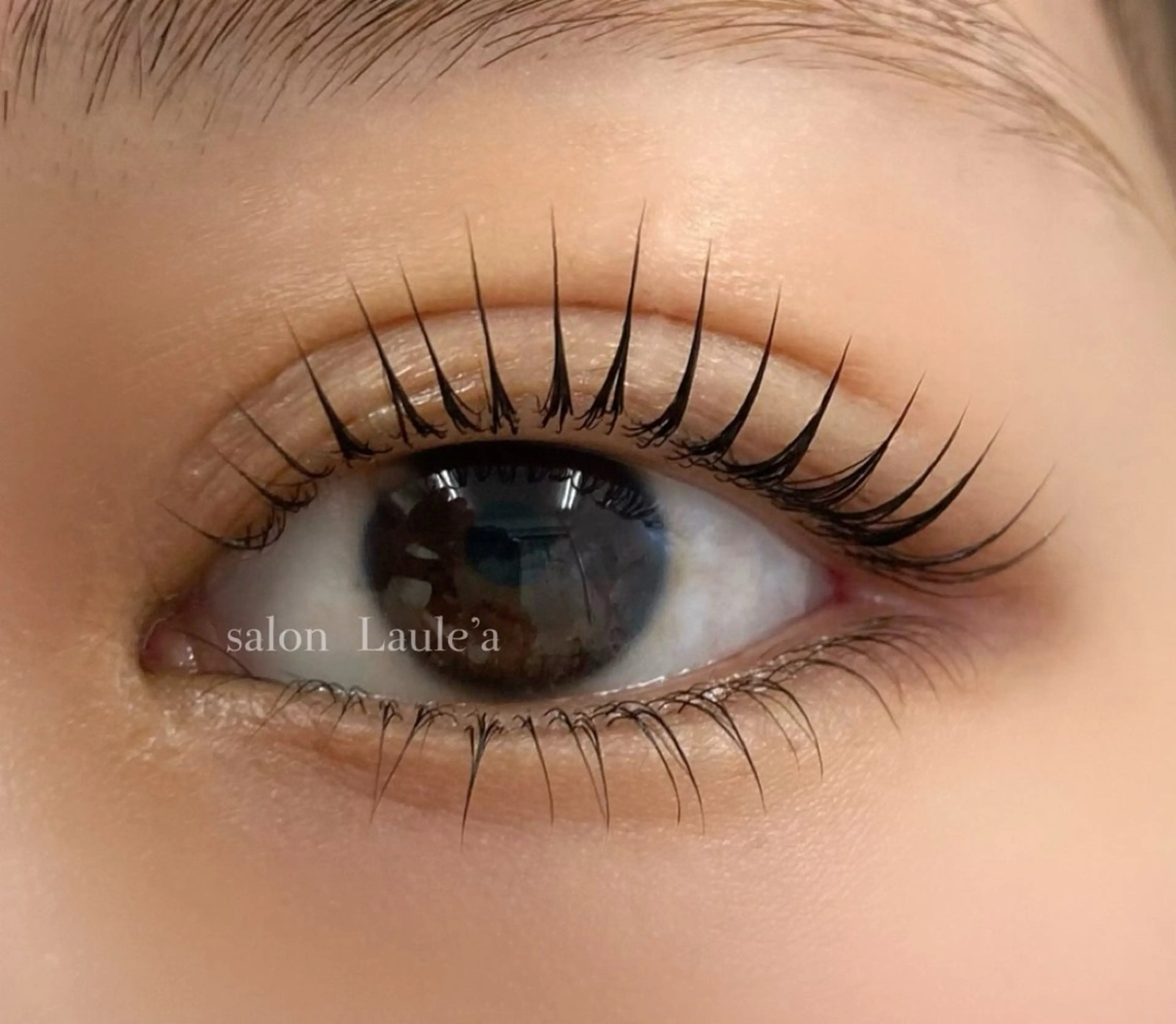 【すぐ予約限定】パリジェンヌ/ラッシュリフト(ケアTR付き)の写真