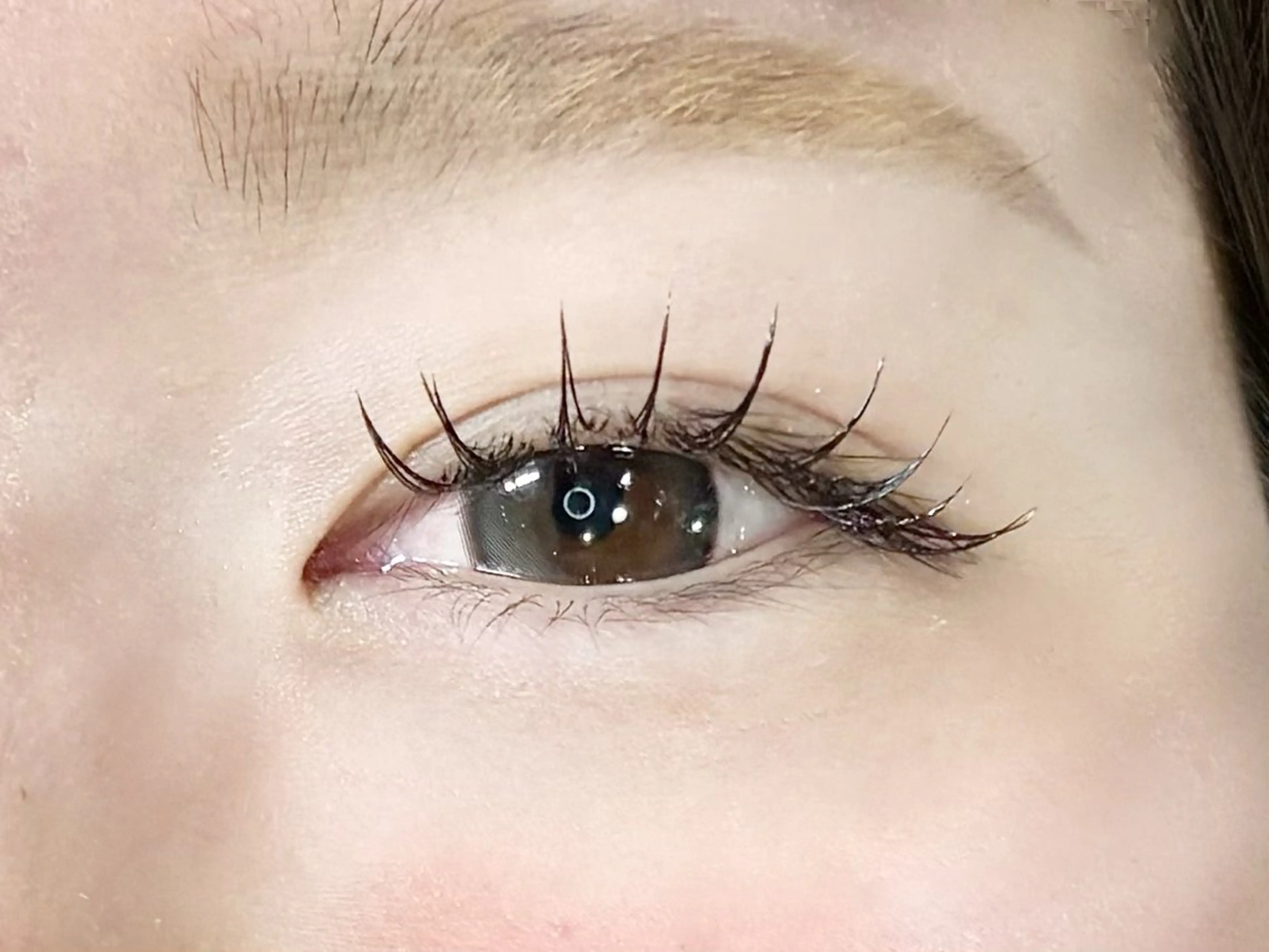 マツエク・マツパ マツエク LEDエクステ専門店 Fedis 京橋のマツエク・マツパデザイン