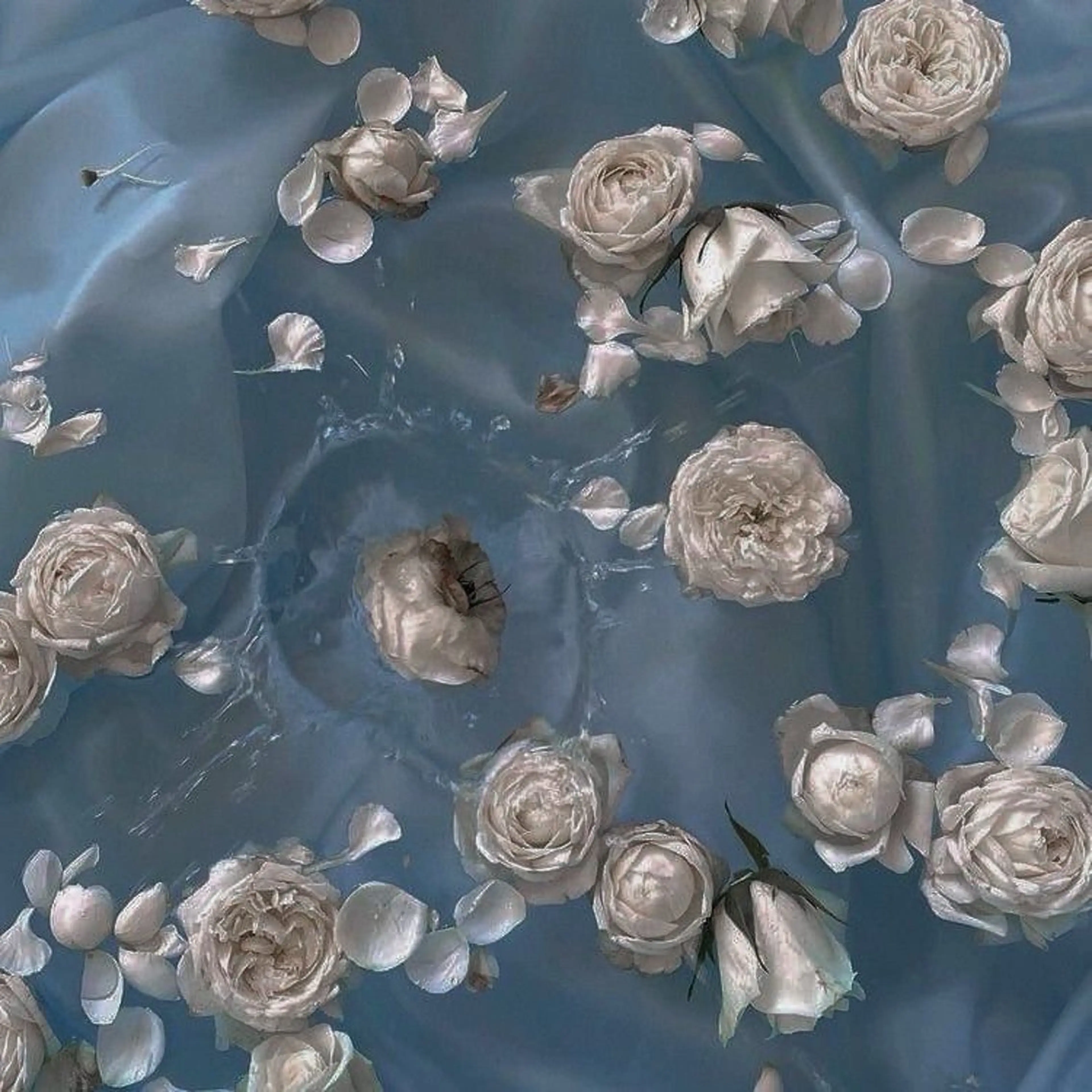 BETTISH🩵 SERIのマツエク・マツパデザイン