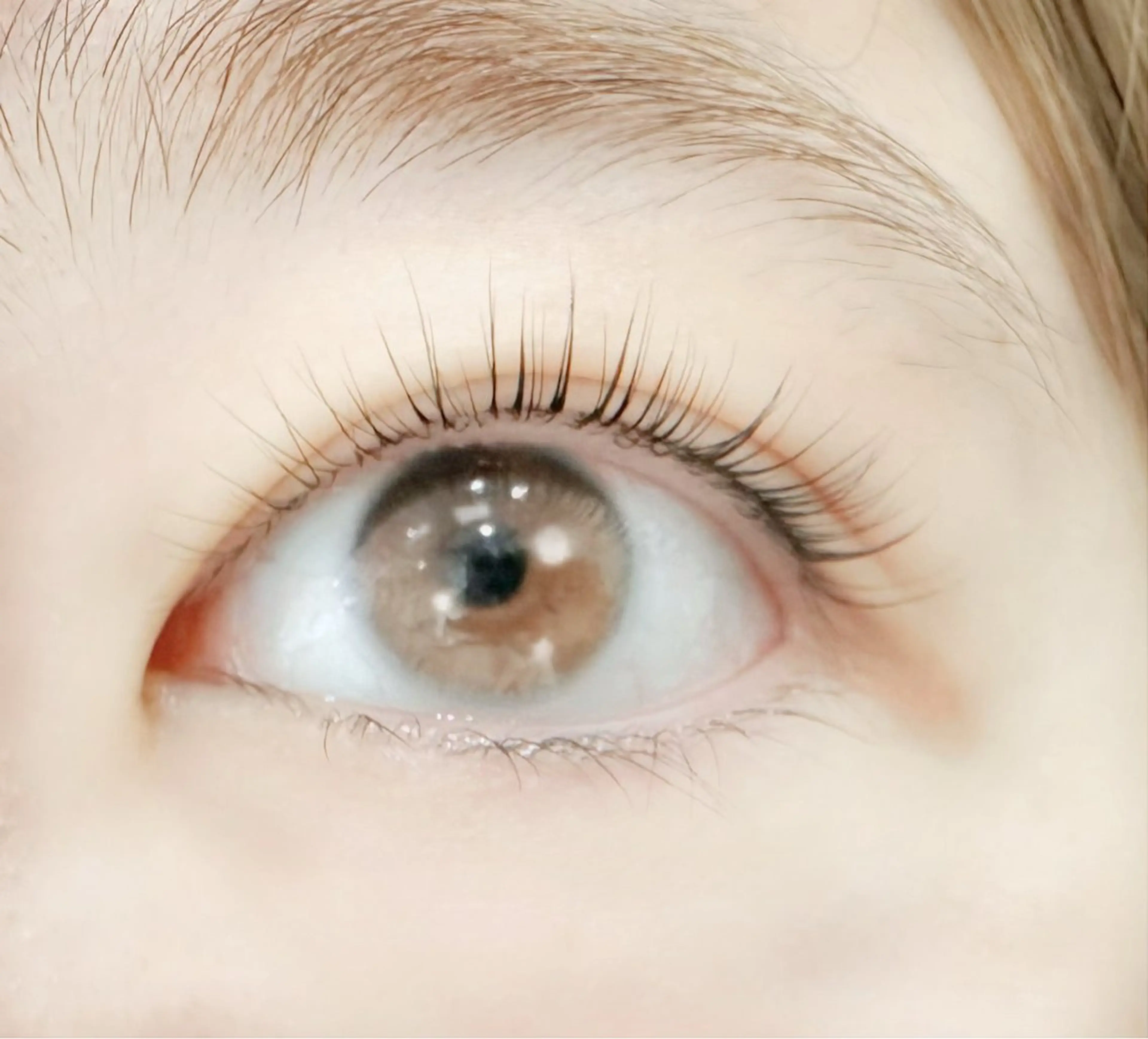 マツエク・マツパ まつげパーマ Grace タケムラのマツエク・マツパデザイン