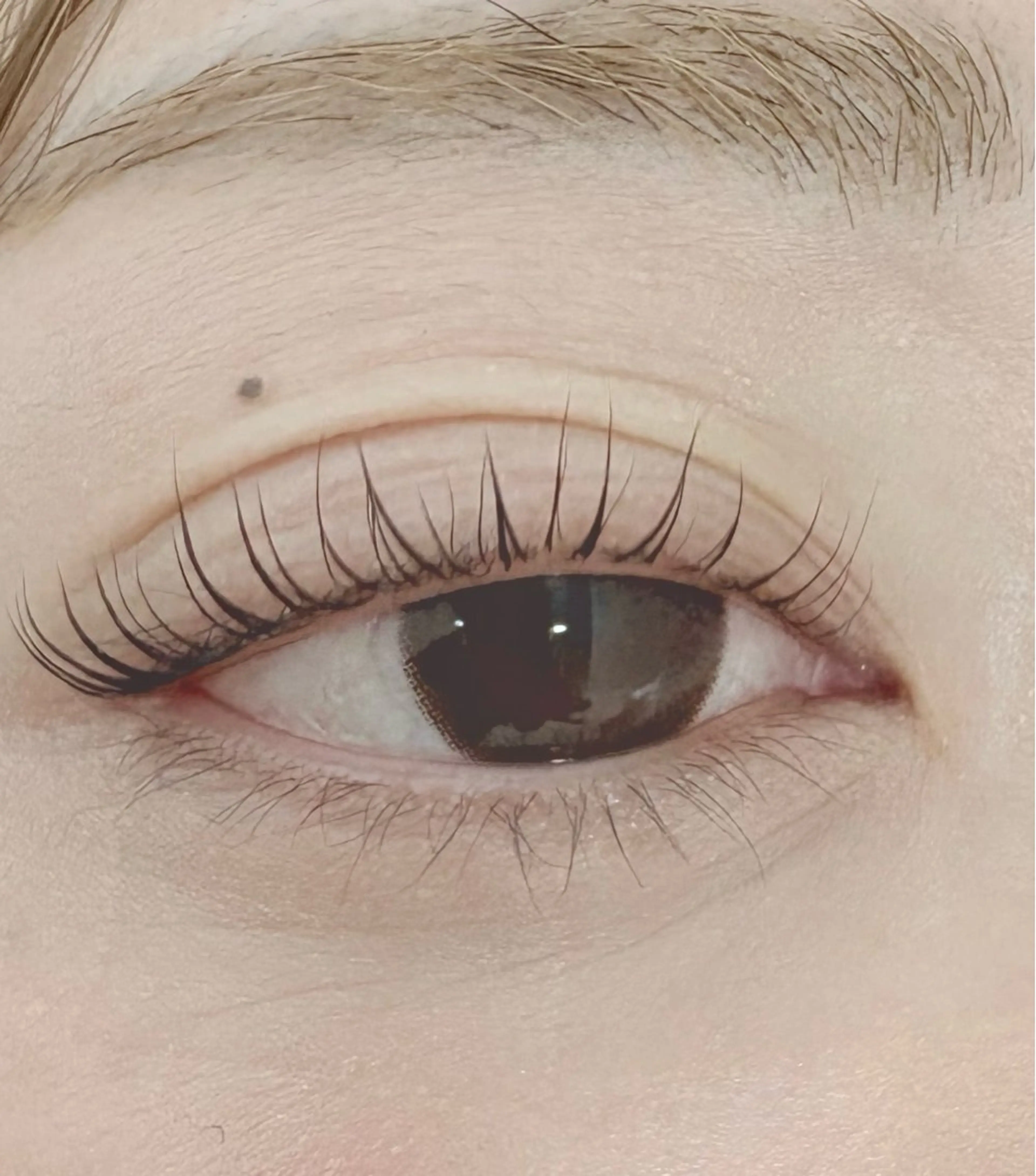 マツエク・マツパ ひぐち ともこのマツエク・マツパデザイン