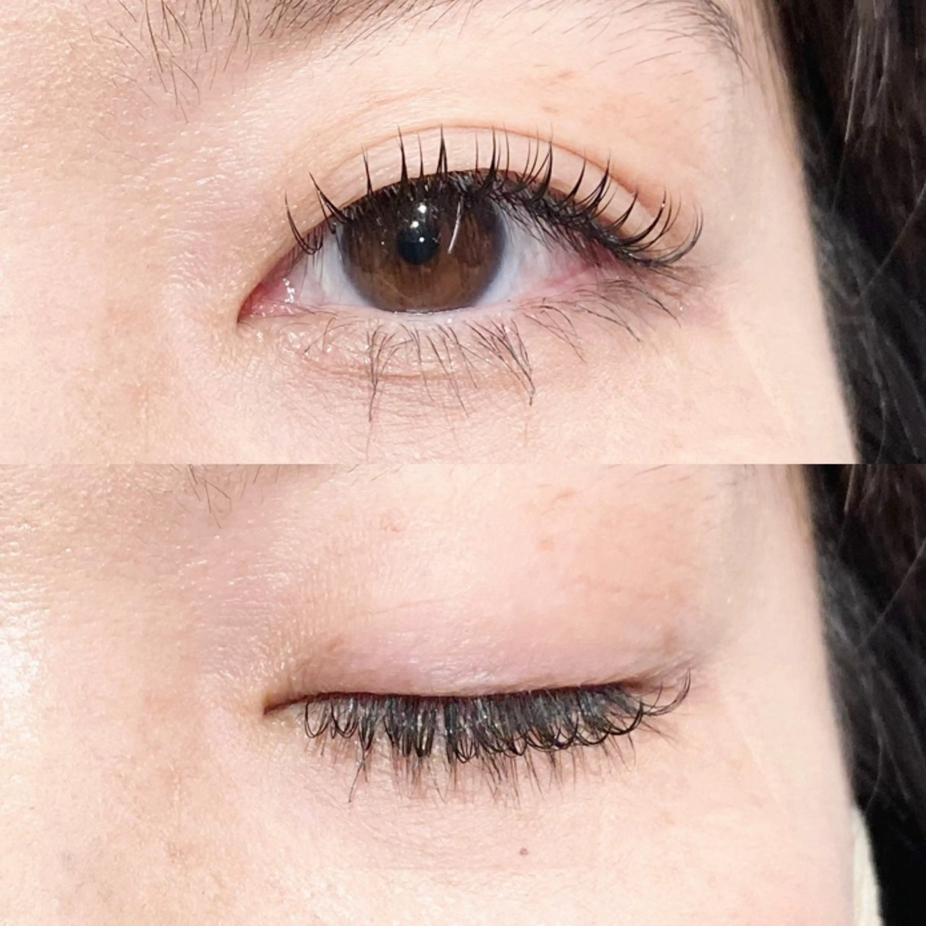 🧸2回目以降のお客様🧸ミンク120本 （オフ・コーティング・指名料込）フラットラッシュ・カラー＋¥1100の写真