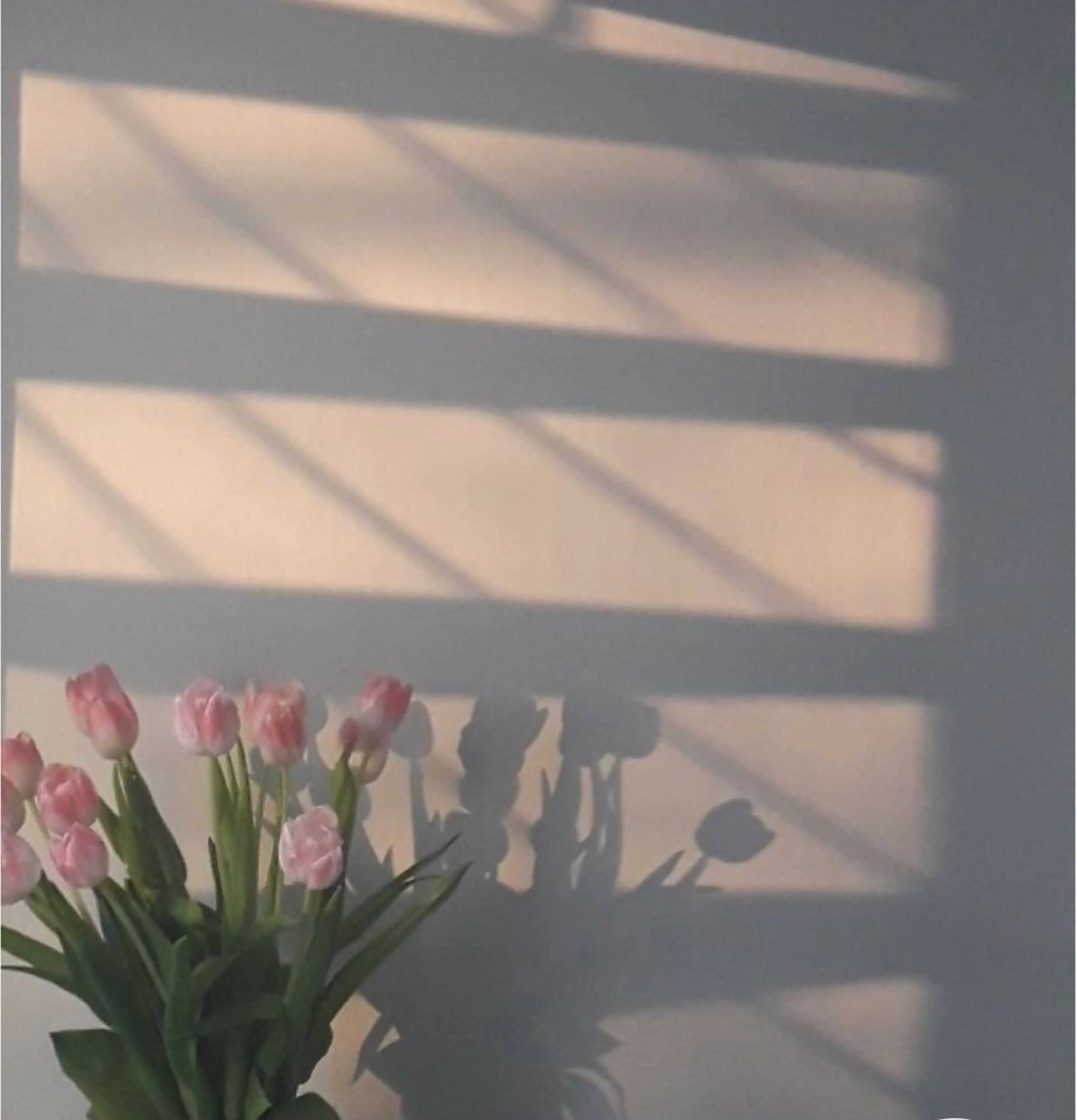 POLA　R-isa所属・小顔 🌿R-isa森井のエステ・リラクイメージ