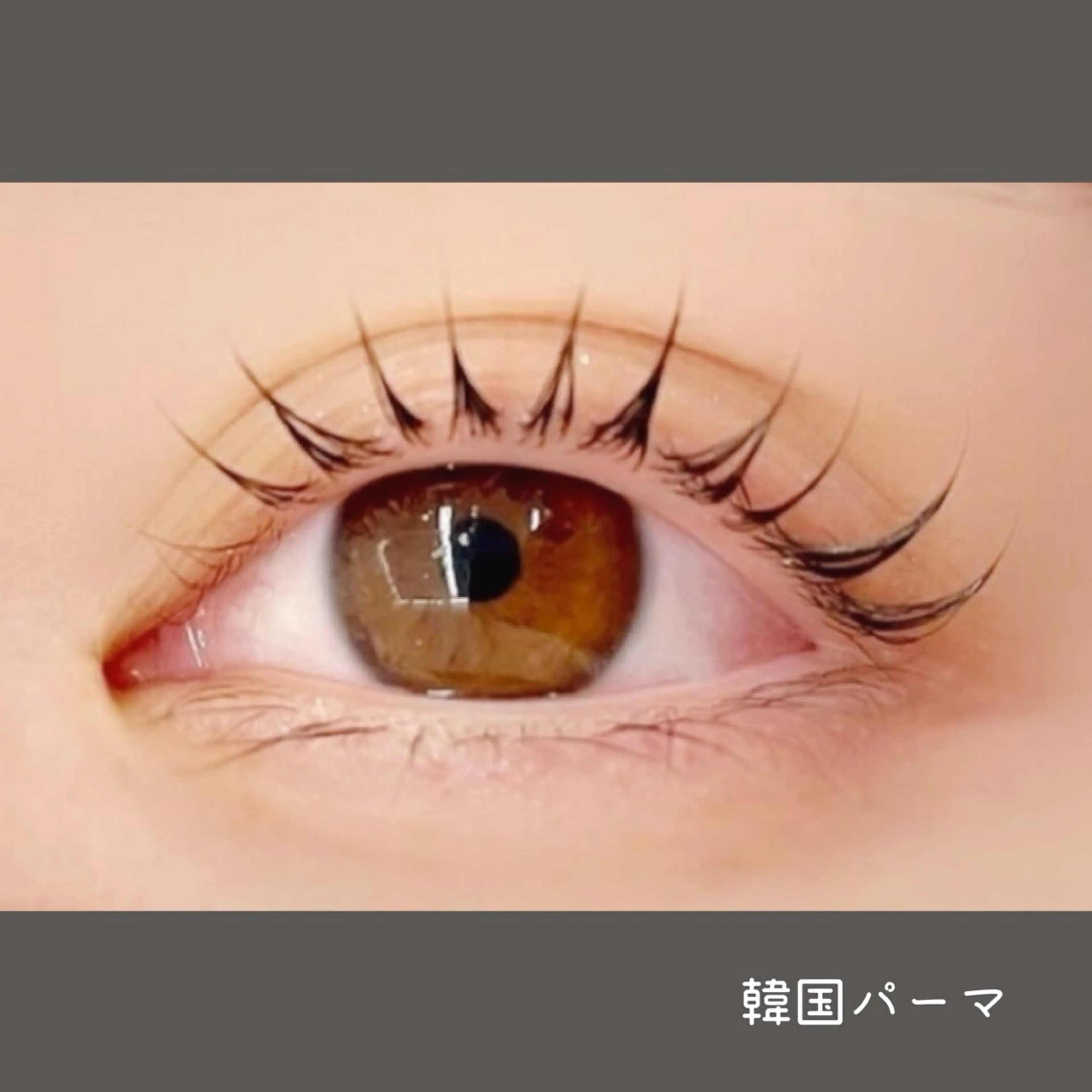 マツエク・マツパ マツパ 🖤memoto 東三国店🖤のマツエク・マツパデザイン