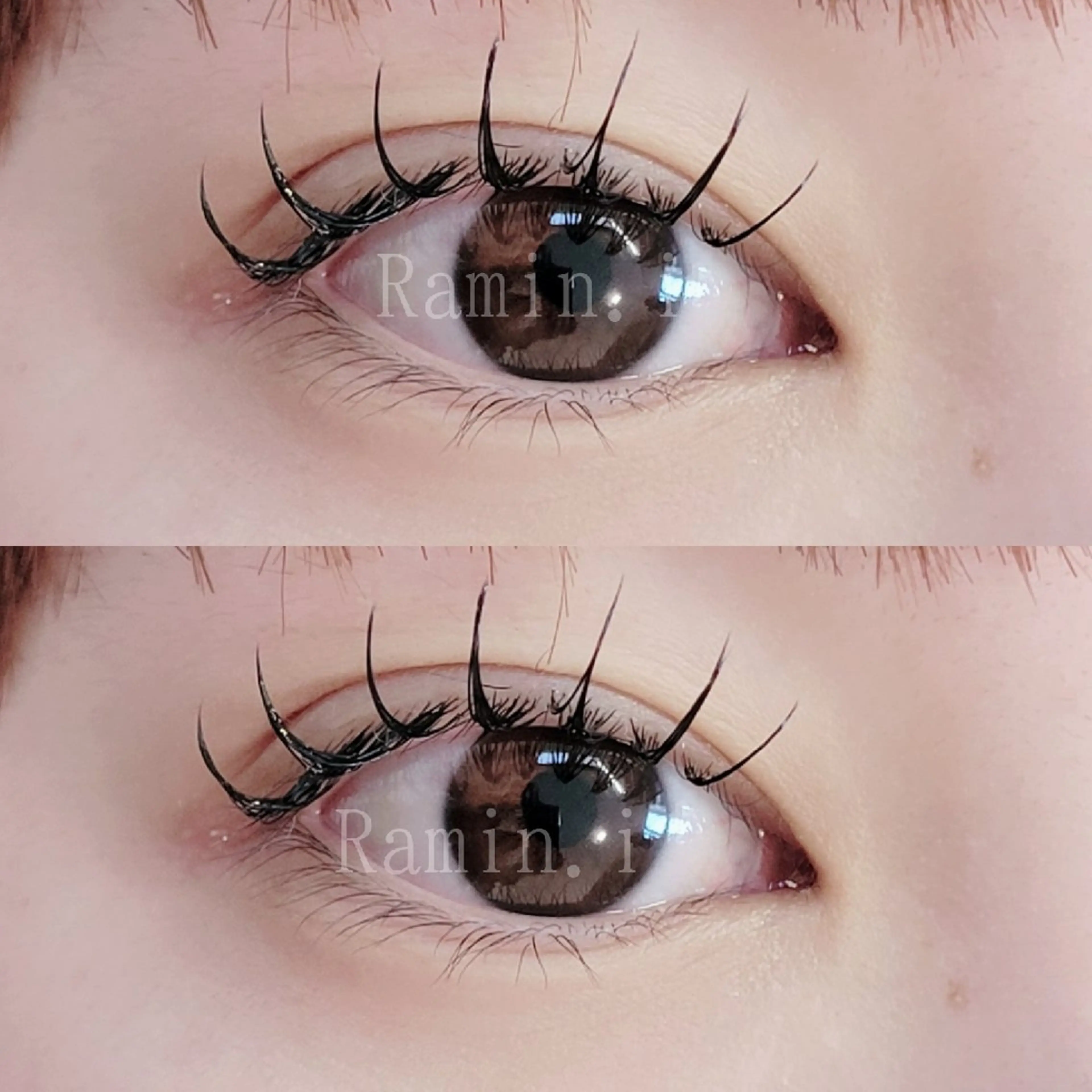 フラットラッシュ 100本の写真