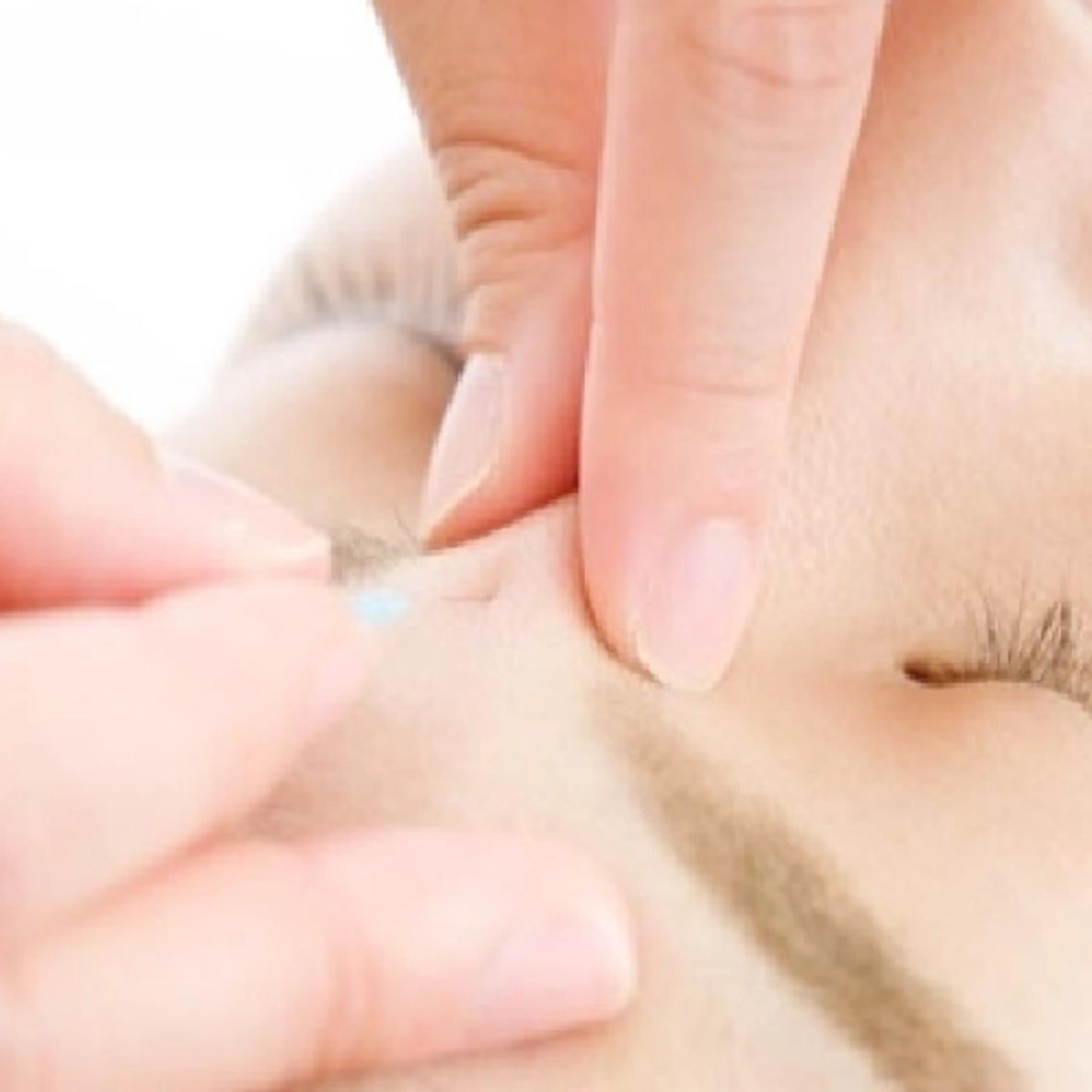 💆♀️美鍼/整体 ハリジョ 浜田山✨のエステ・リラクイメージ