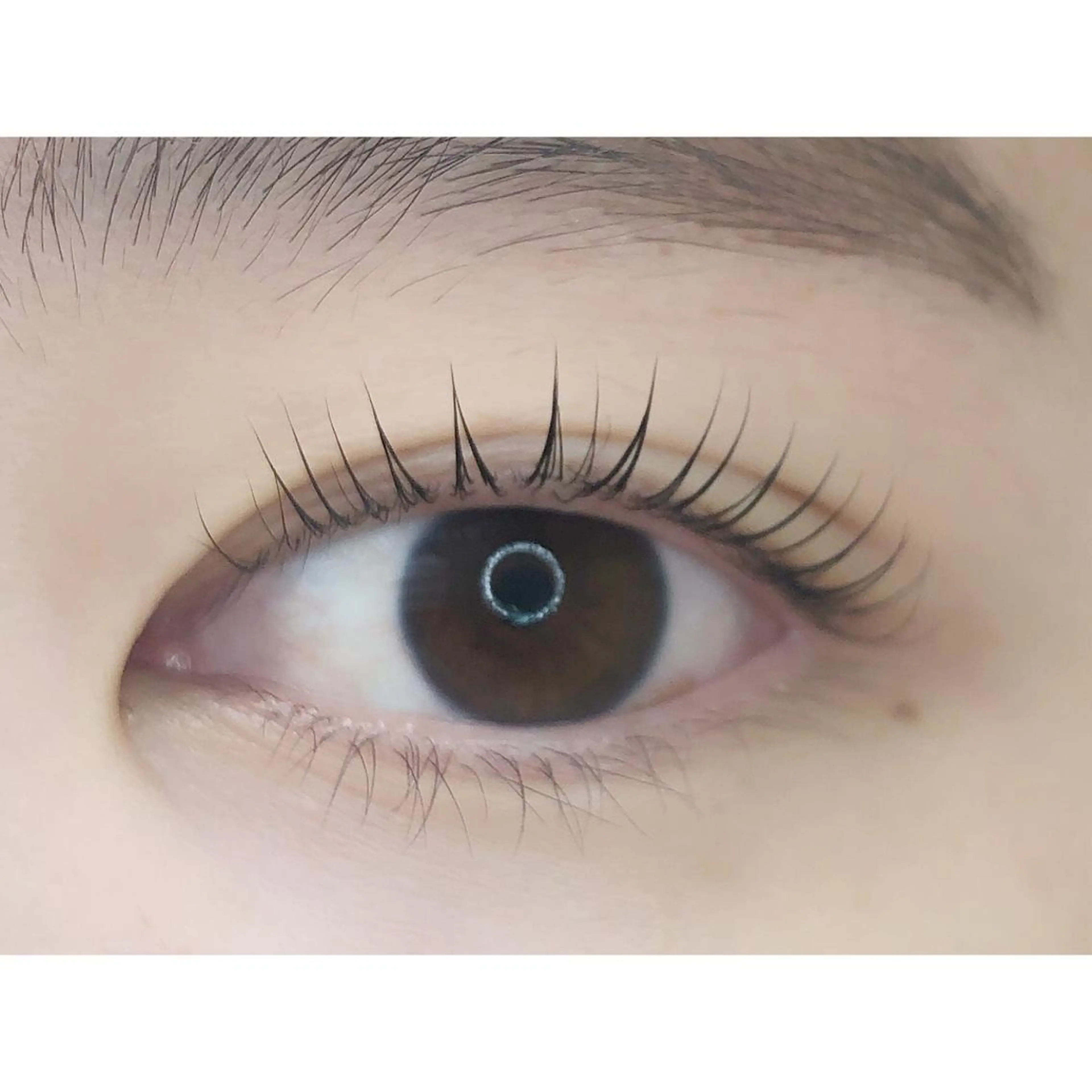 マツエク・マツパ マツパ sii. eyelash/eyebrow所属・sii. eyelashのマツエク・マツパデザイン
