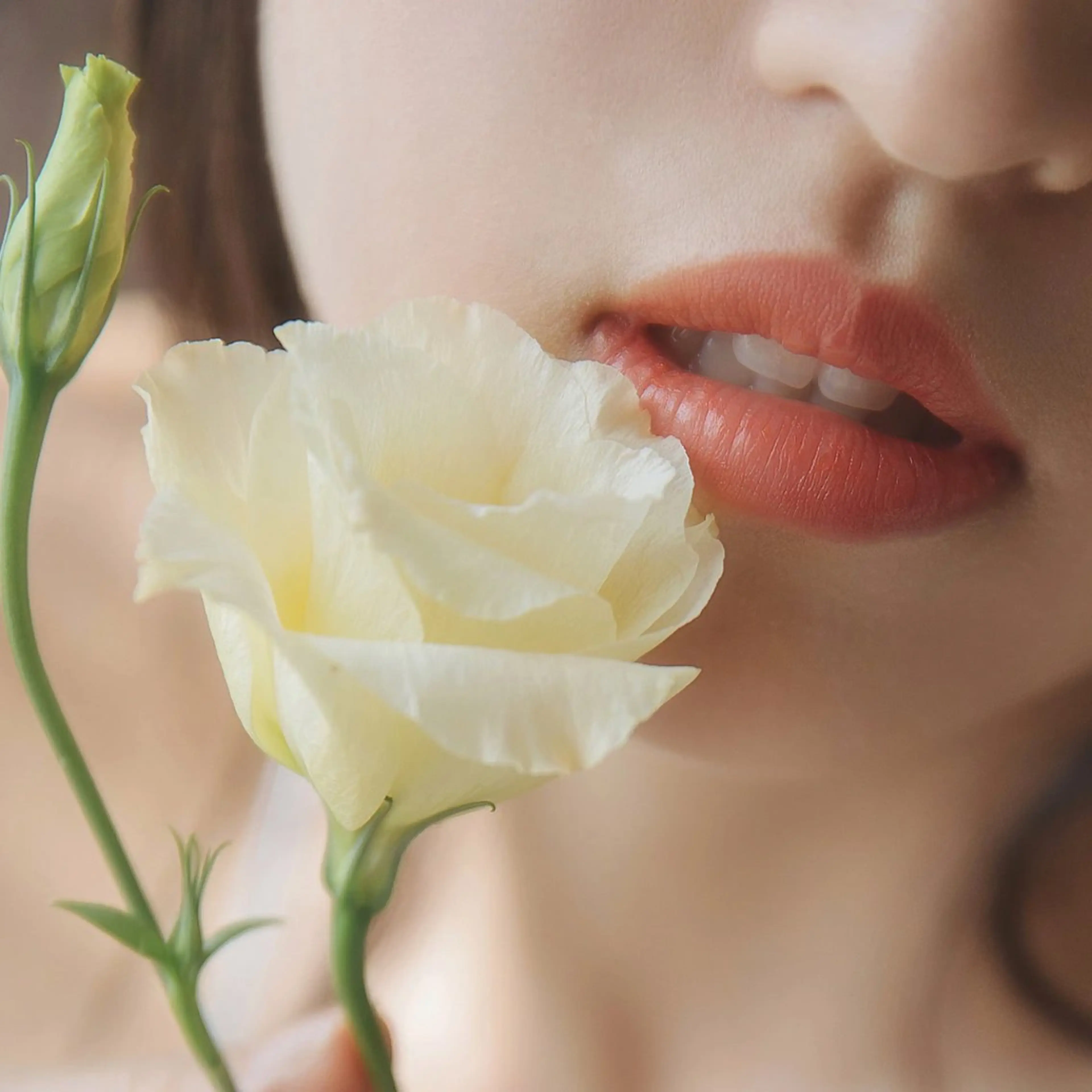 リップセレブコースの写真