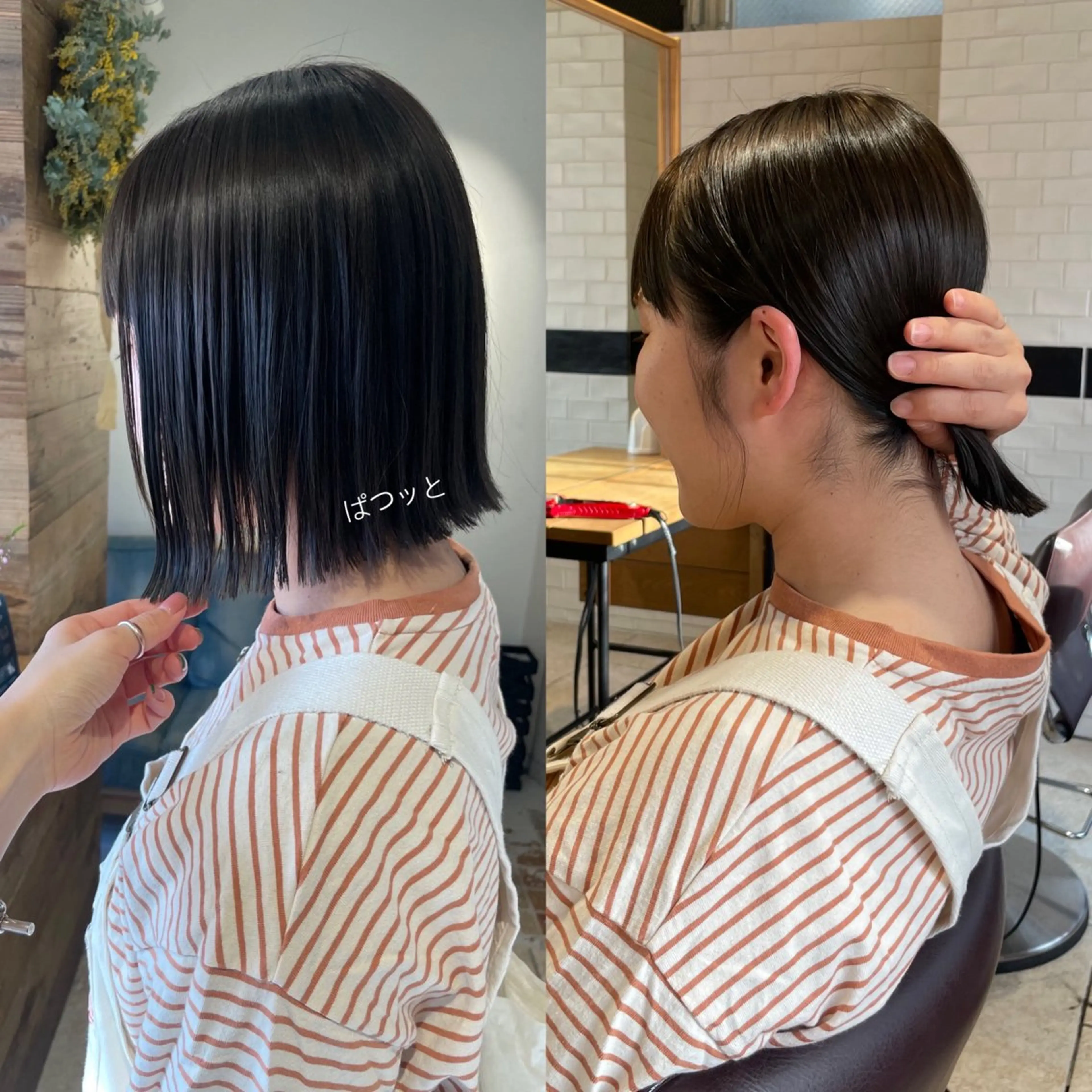 【BASIC】 カット & トリートメントの写真