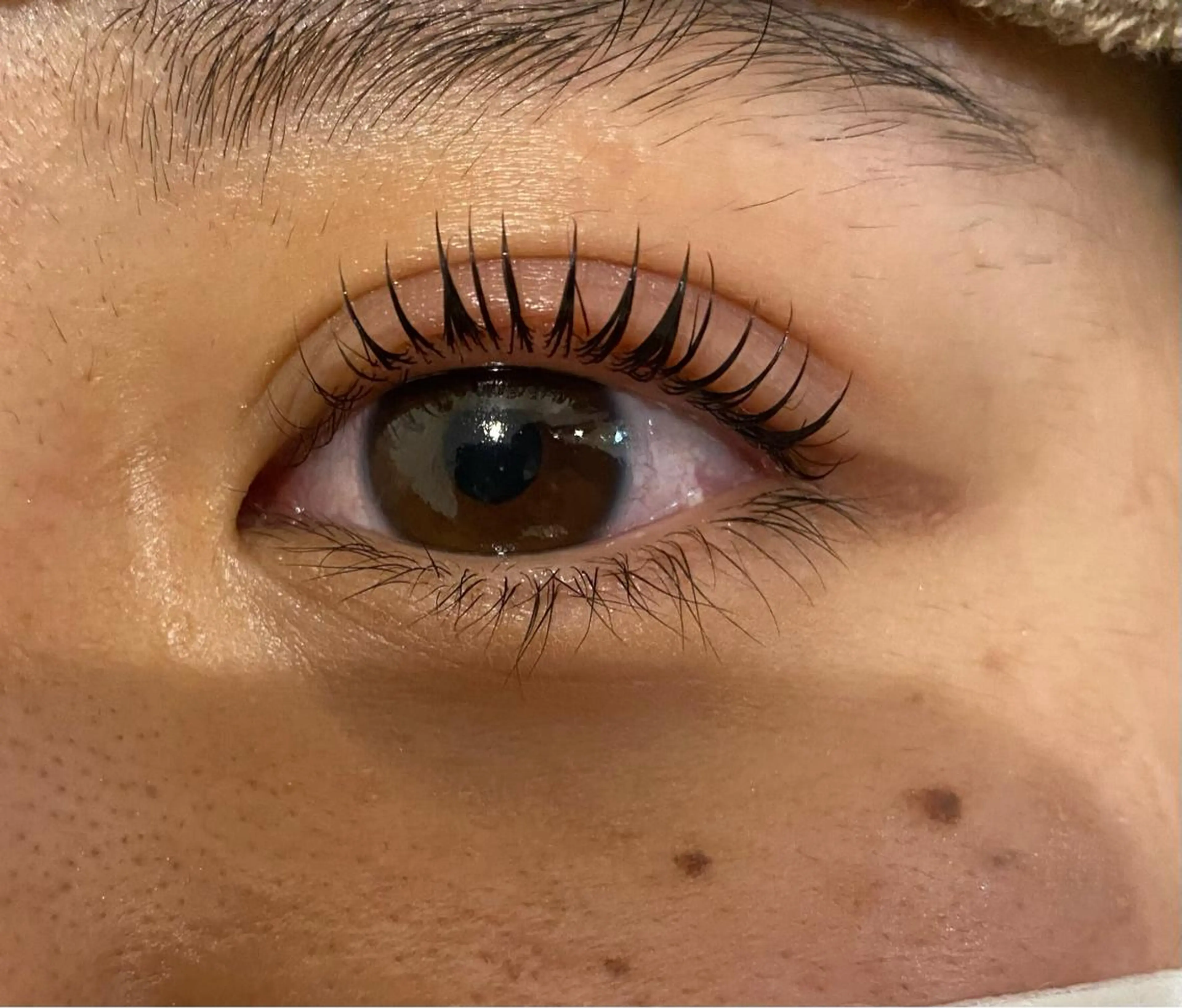 マツエク・マツパ Lien 杉山のマツエク・マツパデザイン