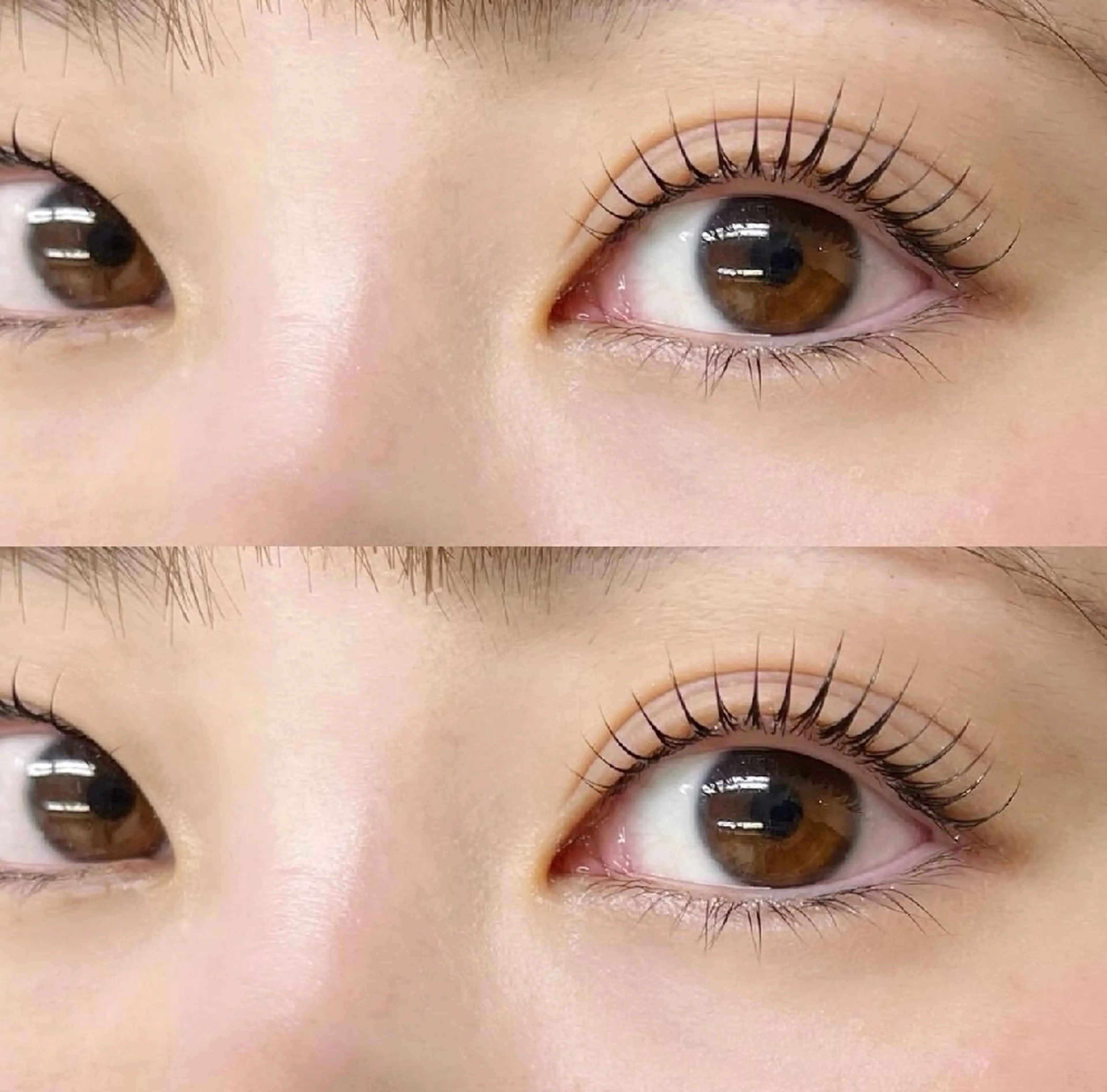 🎀【新規】まつげパーマ / ナチュラル立ち上げ🎀［自然な立ち上げでぱっちり見える定番人気。ビューラーいらずのまつげ］の写真