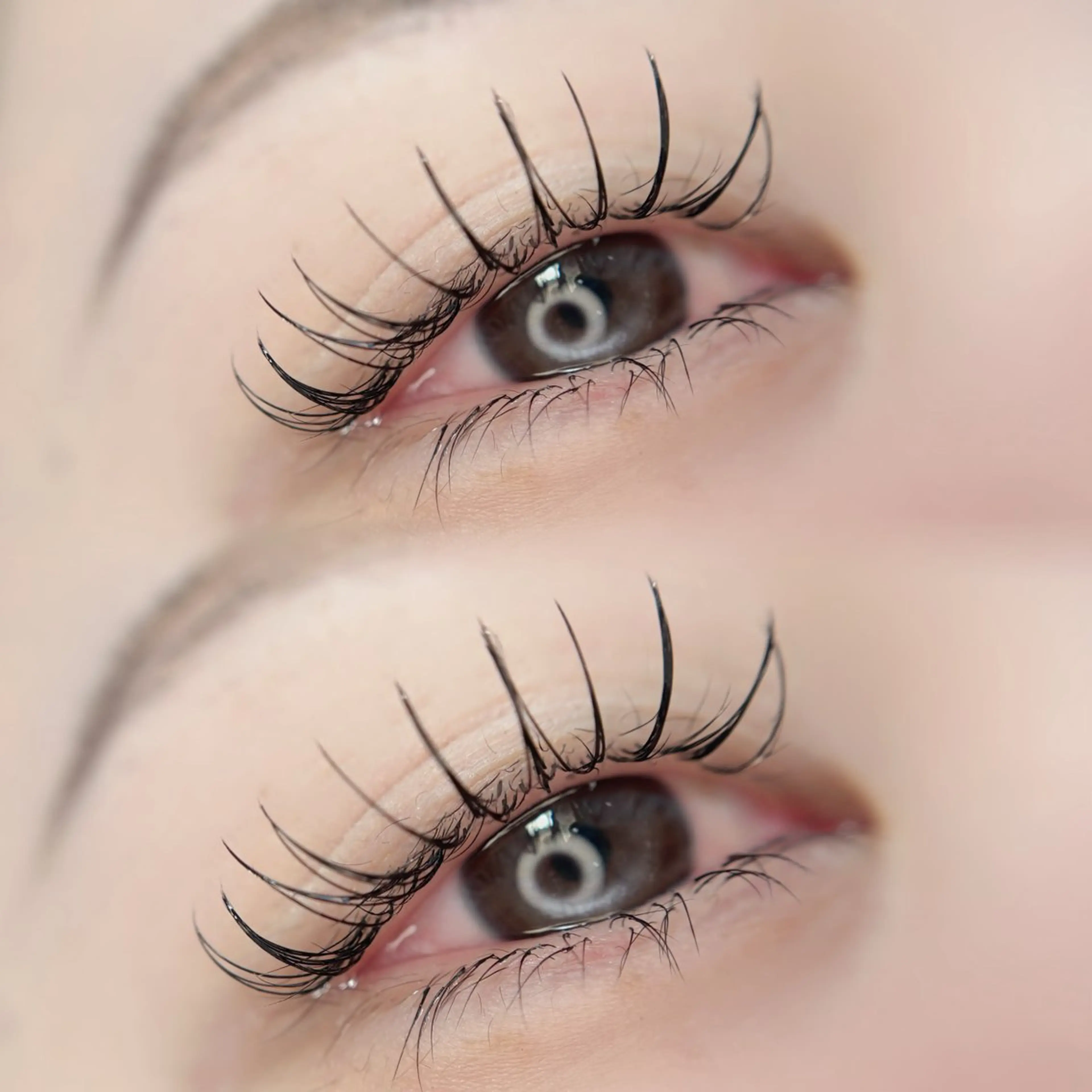 マツエク・マツパ Dカール フラットラッシュ 🦋MaaZlash 南流山FUKA🤍のマツエク・マツパデザイン