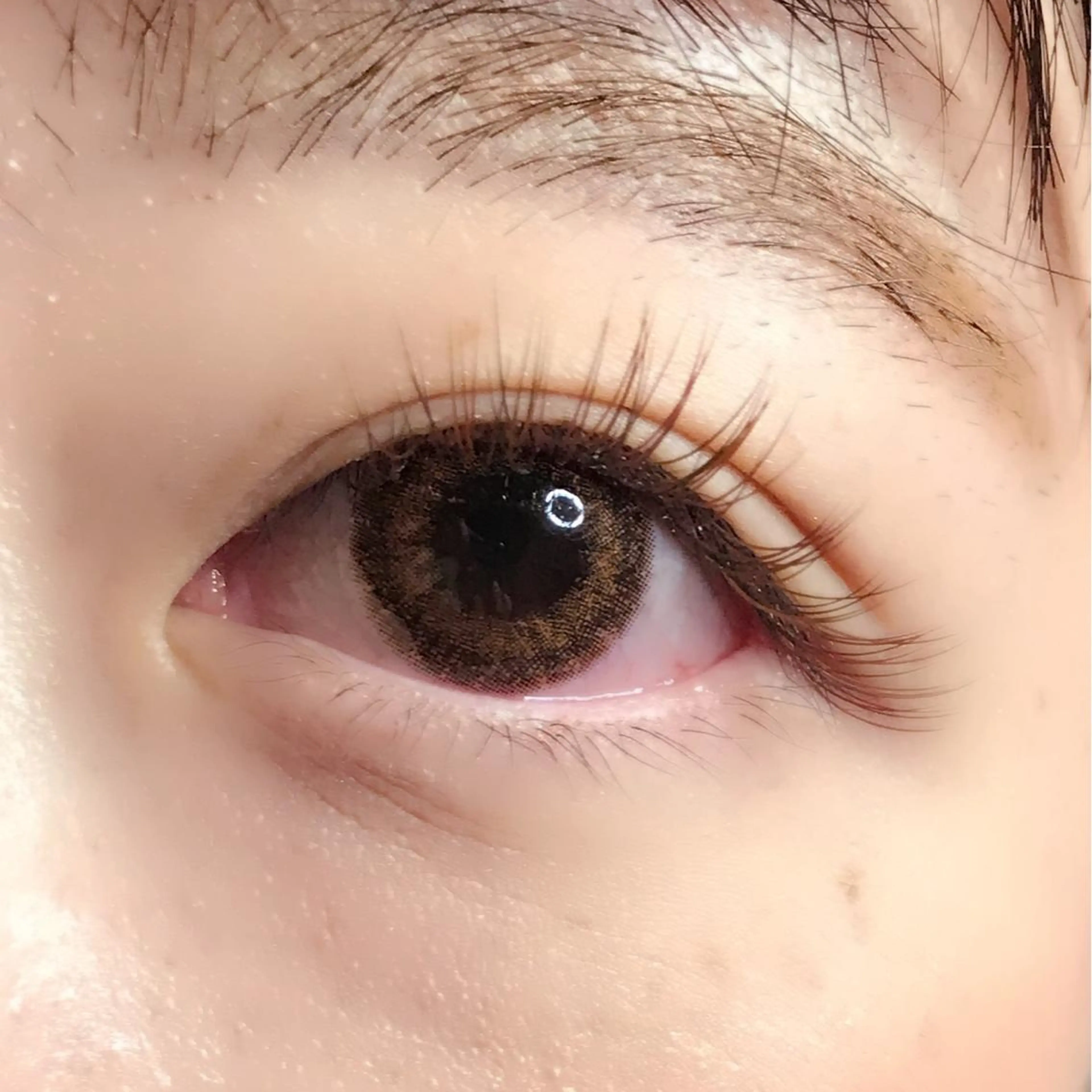 マツエク・マツパ Leoni___.(リオニー)所属・Leoni___. (リオニー)のマツエク・マツパデザイン