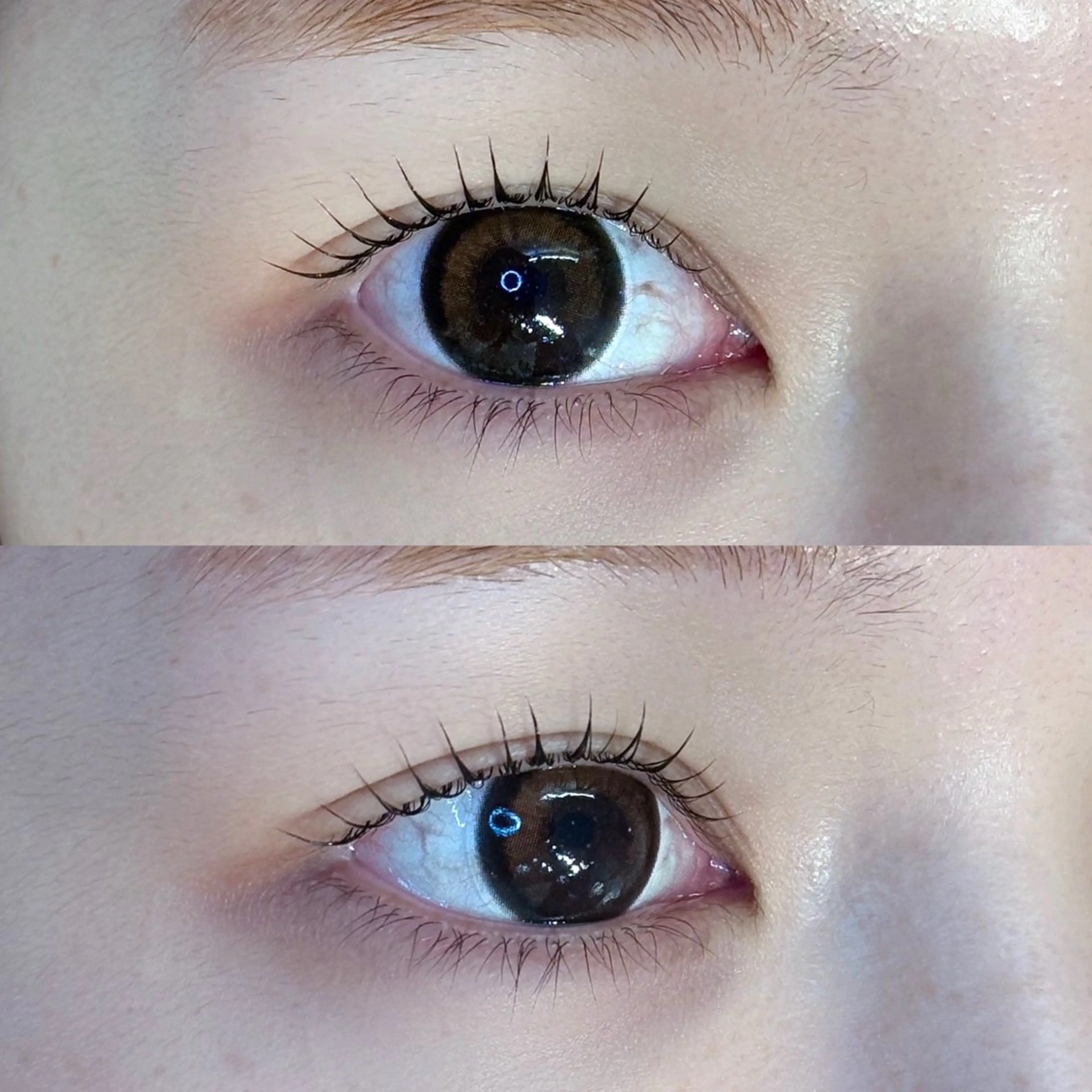 🩵上下まつげパーマ🩵の写真