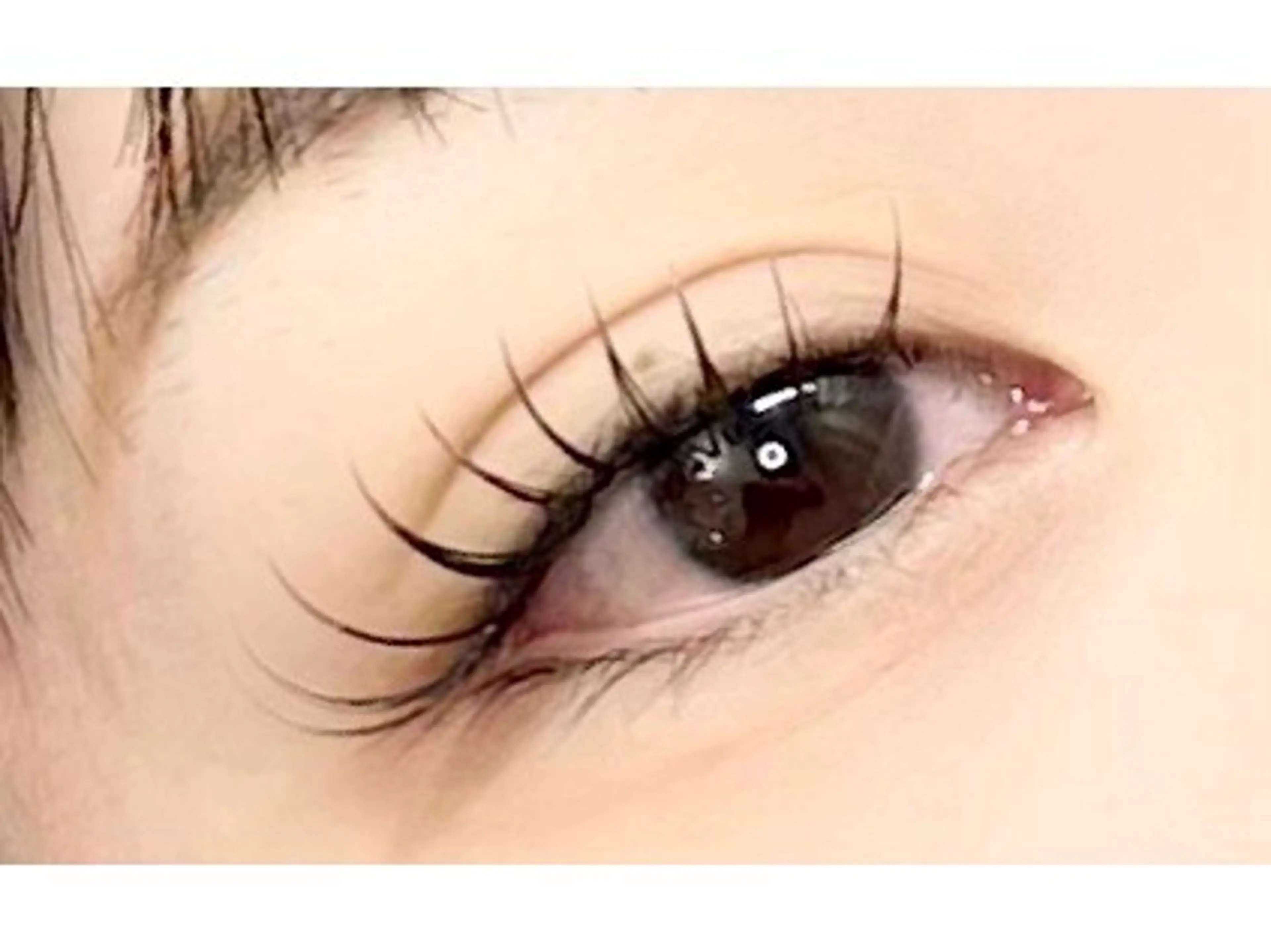 12月限定【エクステ×パーマ】🌿フラットラッシュ60​〜​80本迄🌿の写真