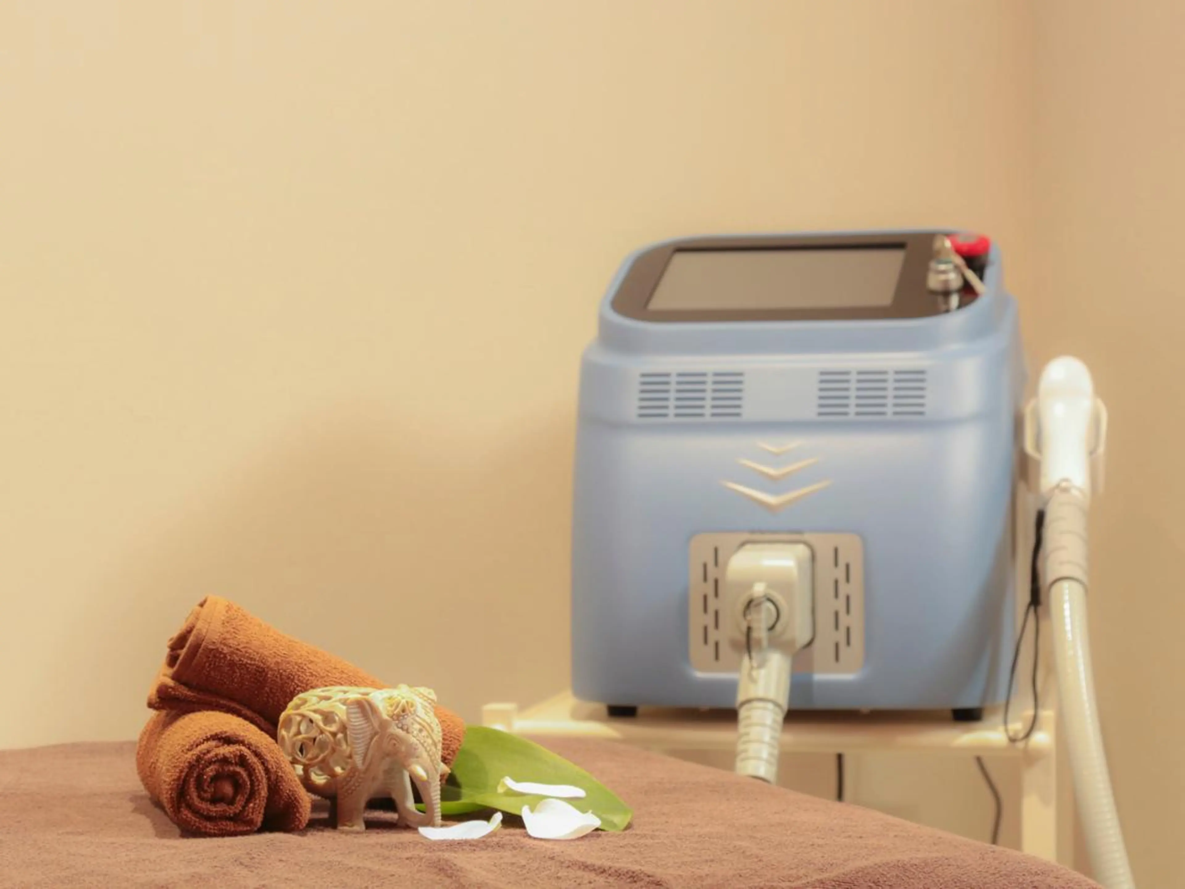 Refine LED 脱毛　亀井のエステ・リラクイメージ