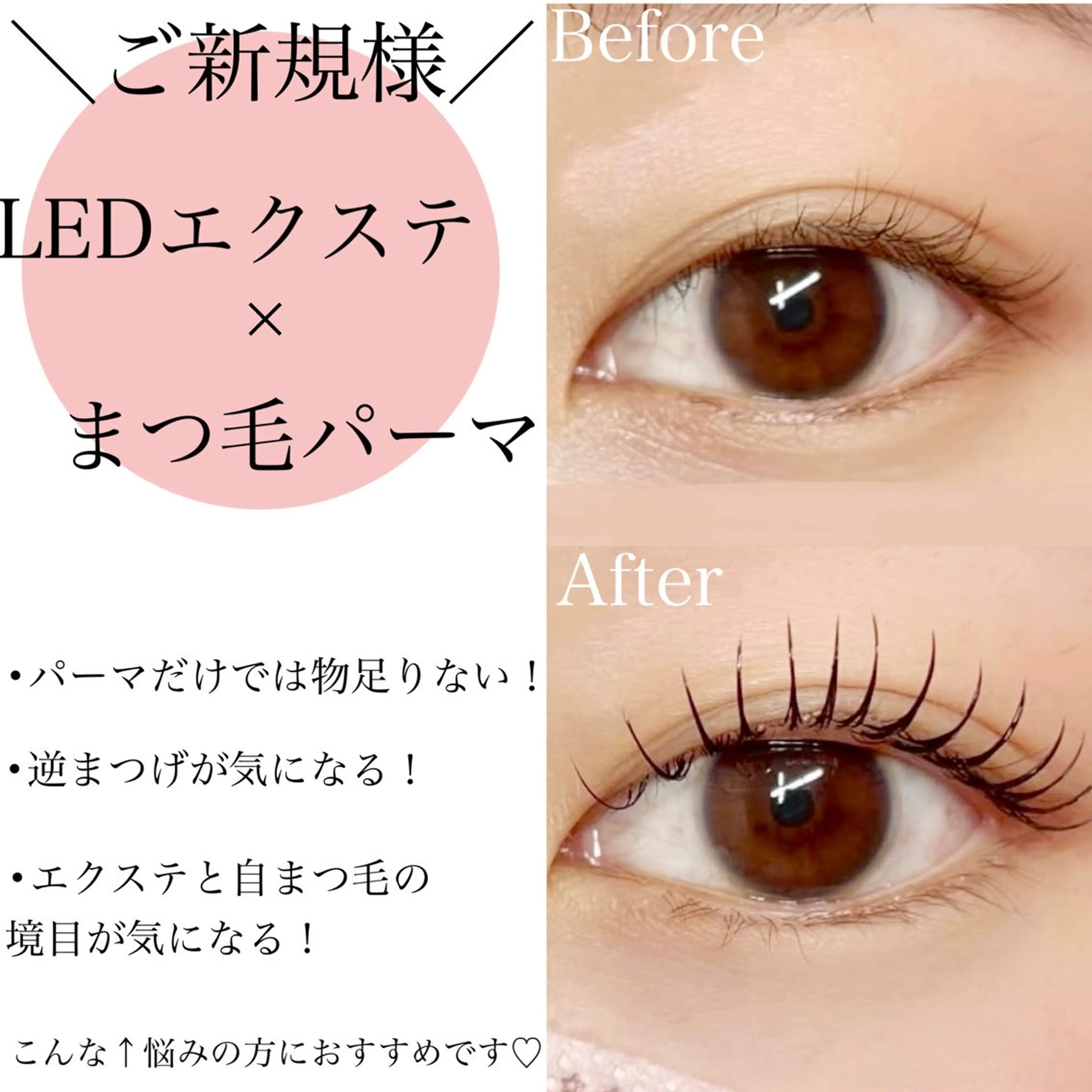 🌟1日1名限定🌟【LEDエクステ100本×まつ毛パーマ】韓国っぽい綺麗な束感を出したい方に人気No１メニュー🫧の写真