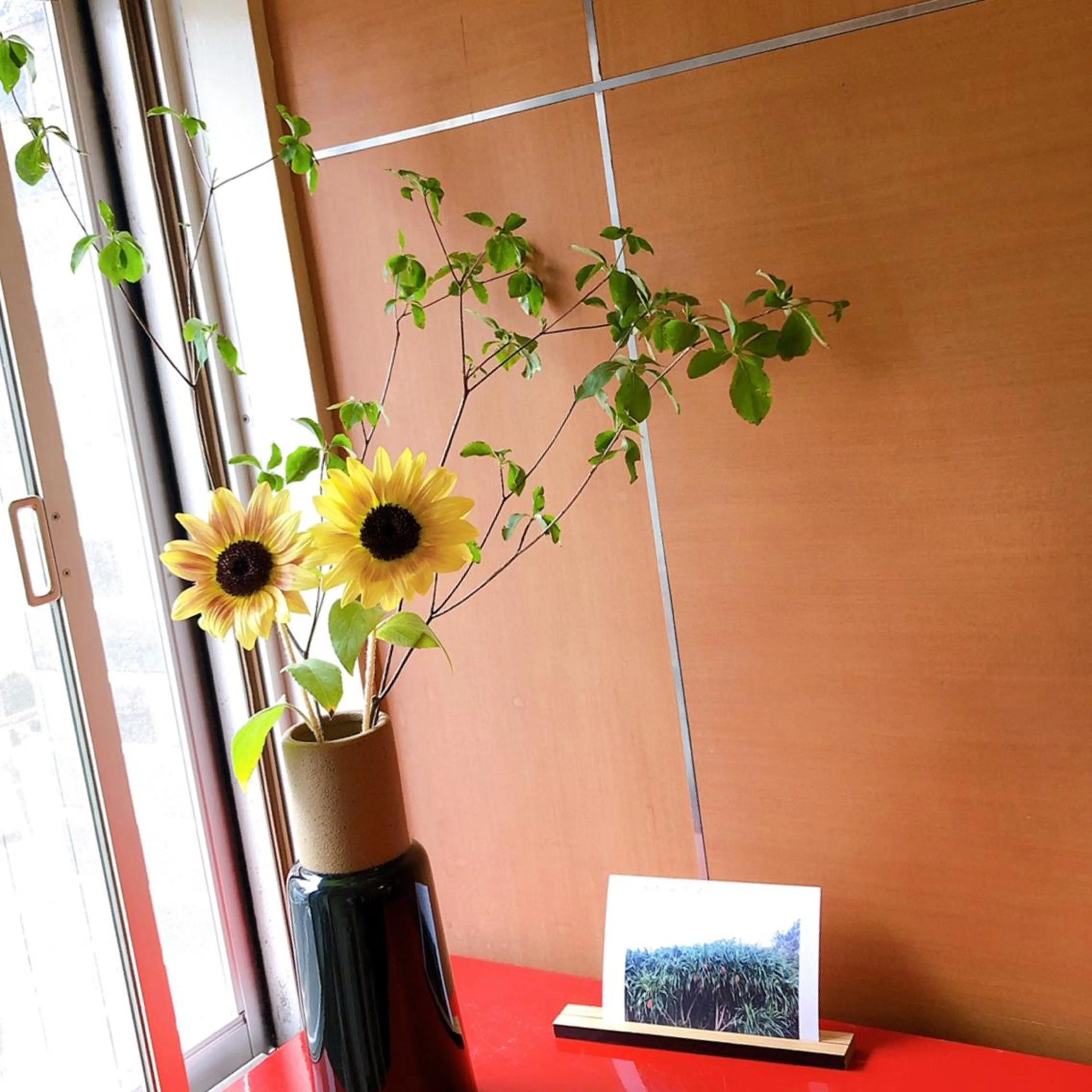 マツエク・マツパ なかむら 🪡のマツエク・マツパデザイン