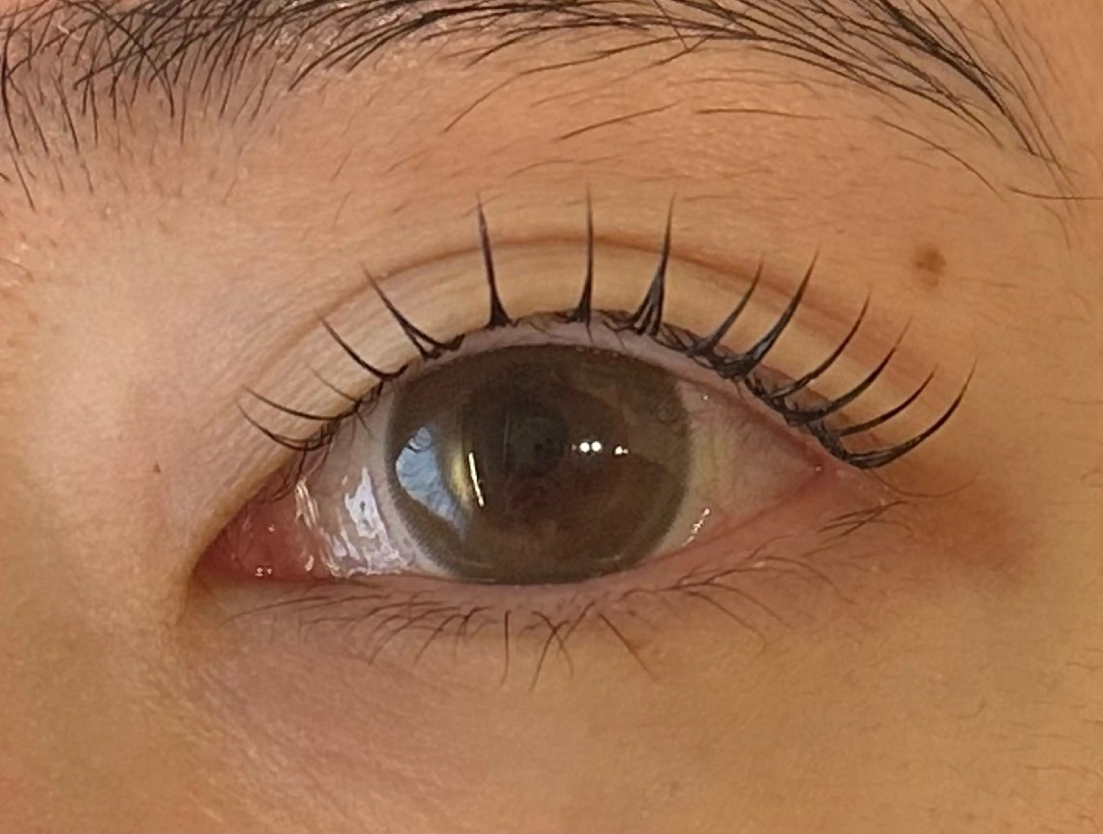 マツエク・マツパ Eyelash Salon Bull 松戸東口店所属・齋藤 瑠菜のマツエク・マツパデザイン