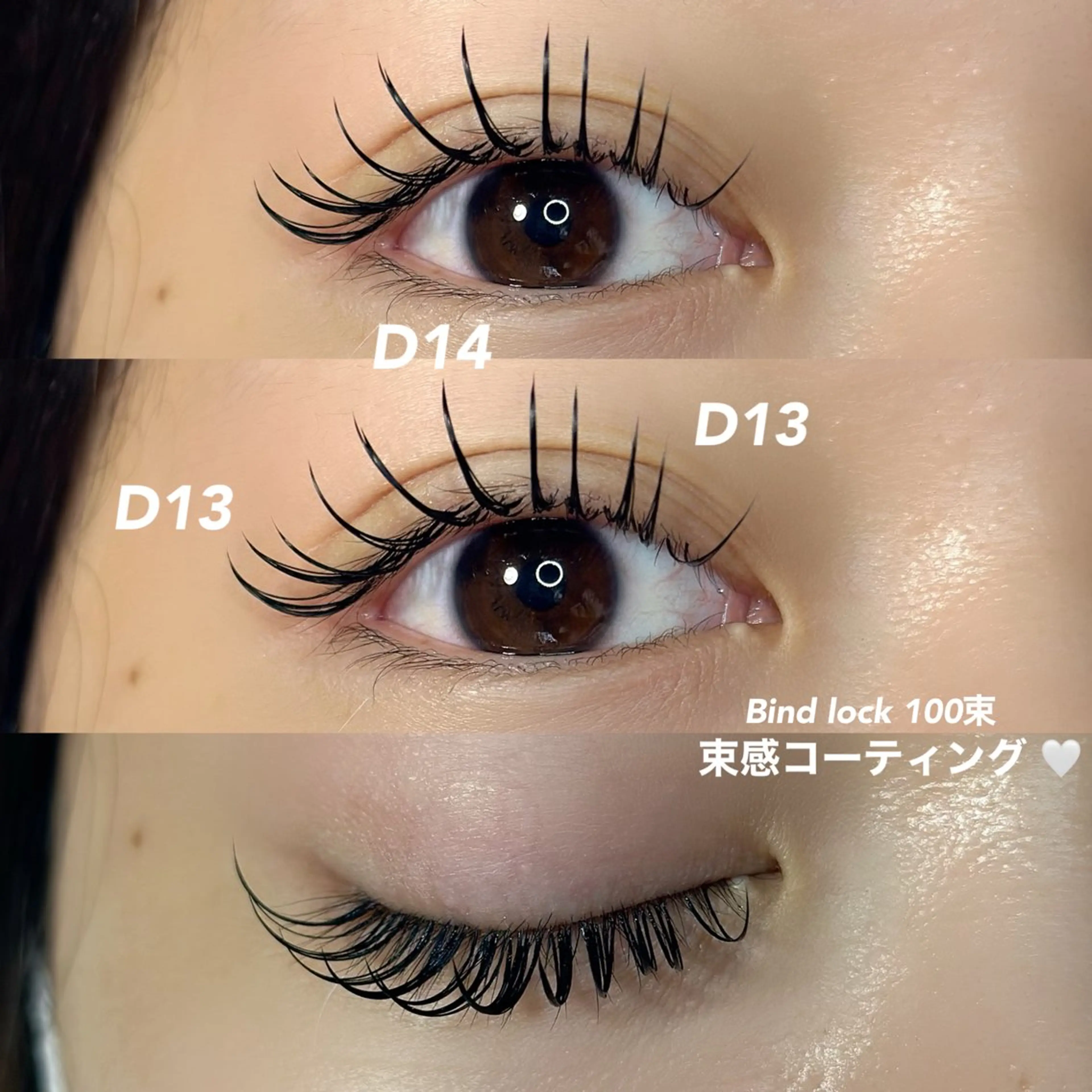 【バインドロック】100束（コーティング付）の写真