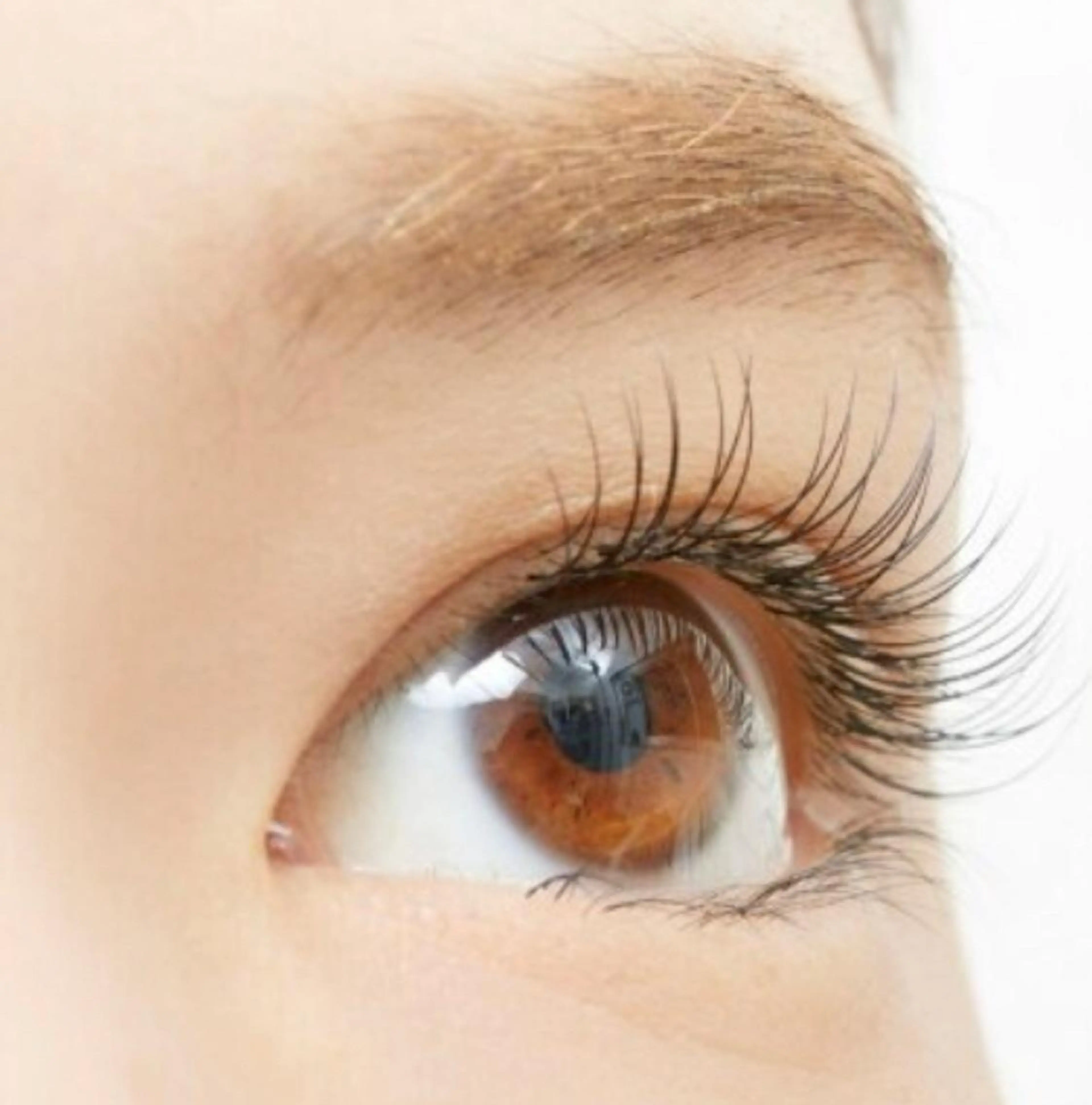 フラットラッシュ🌼30分コース(前回から2週間以内のご来店で500円引き)の写真