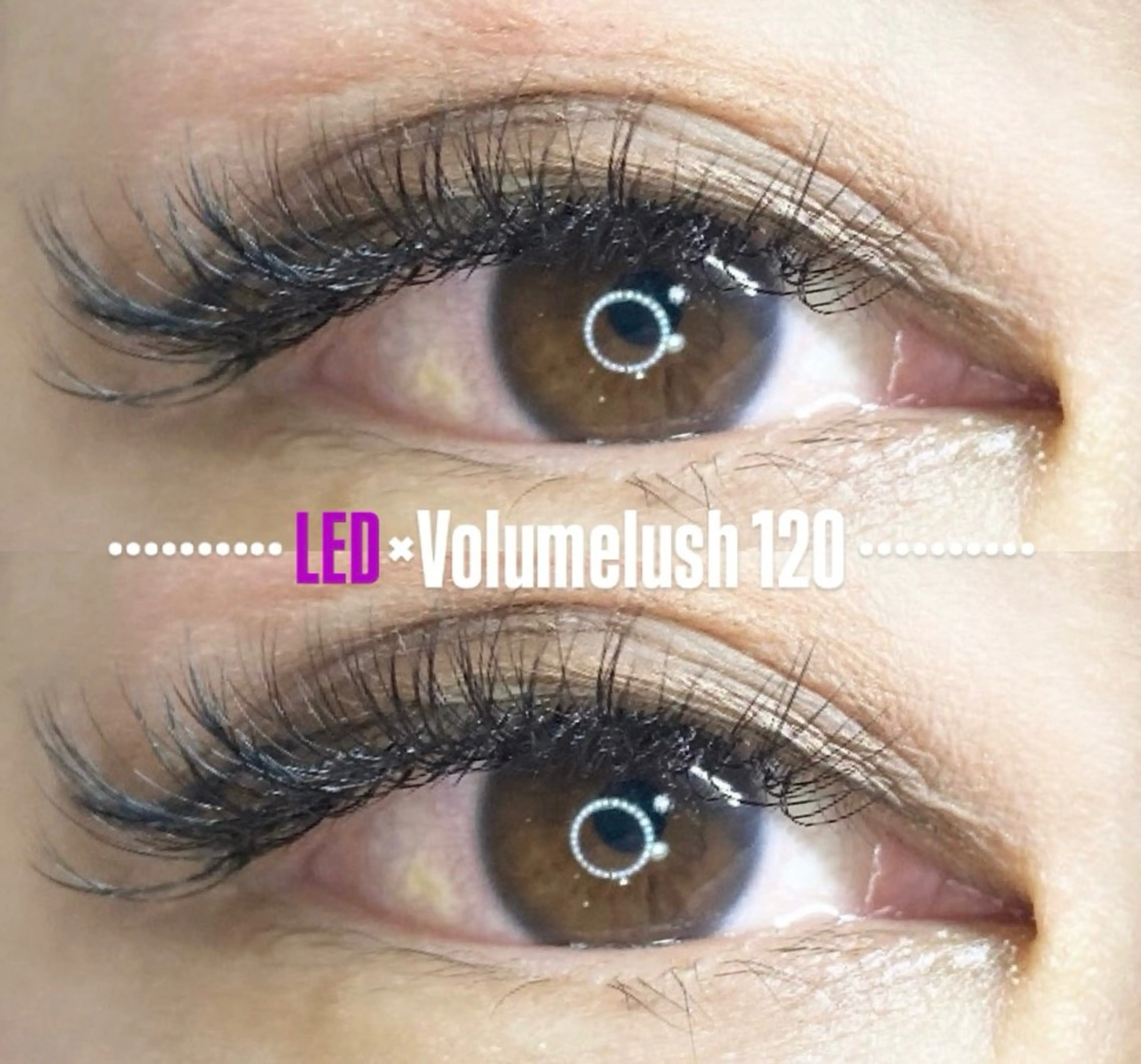 マツエク・マツパ LEDエクステ専門店 Fedis 京橋のマツエク・マツパデザイン