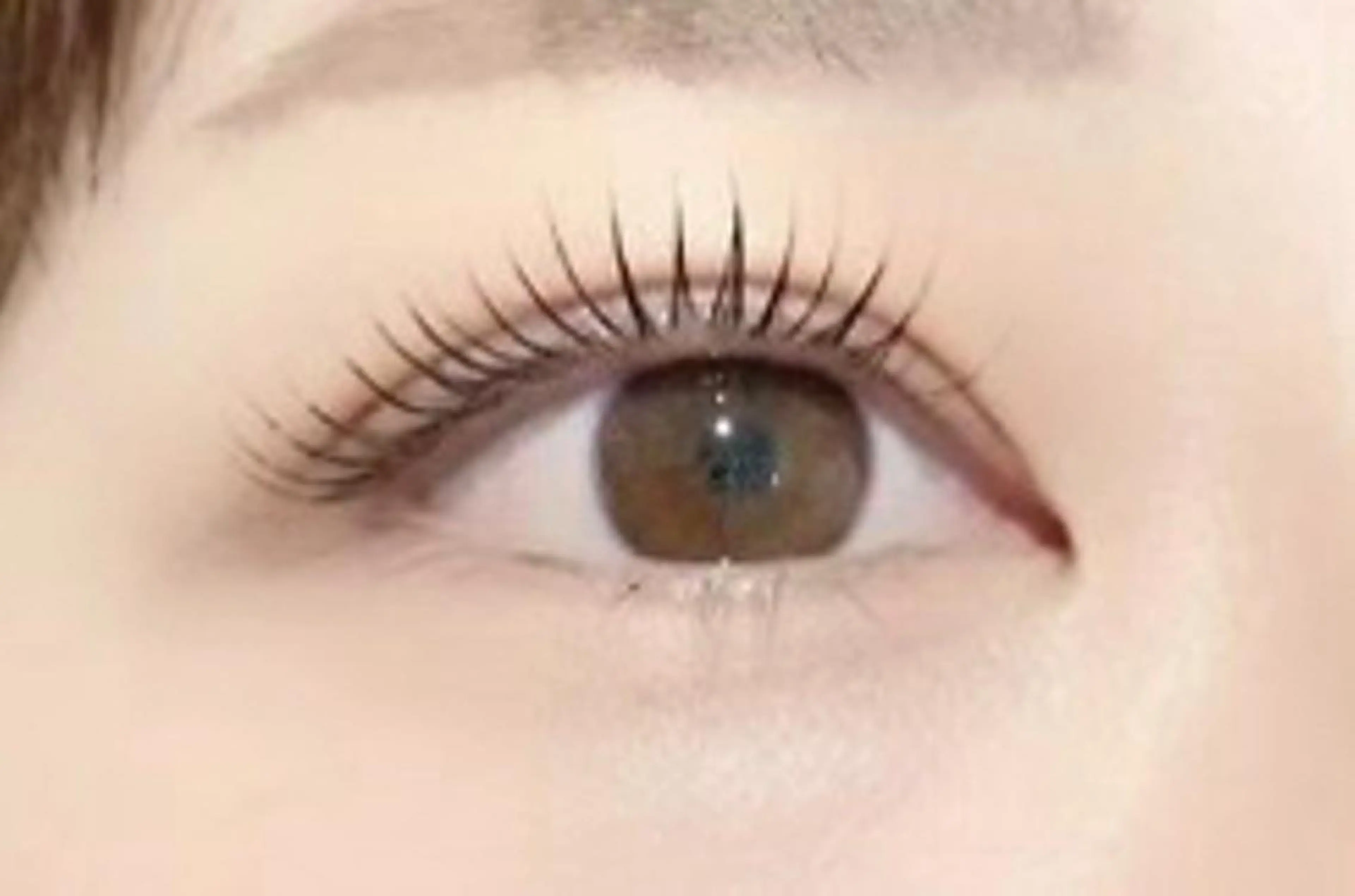 2回目以降◇ラッシュリフト【上のみ】パリジェンヌラッシュリフト＊オーダーメイドラッシュリフト◇トリートメント仕上げの写真