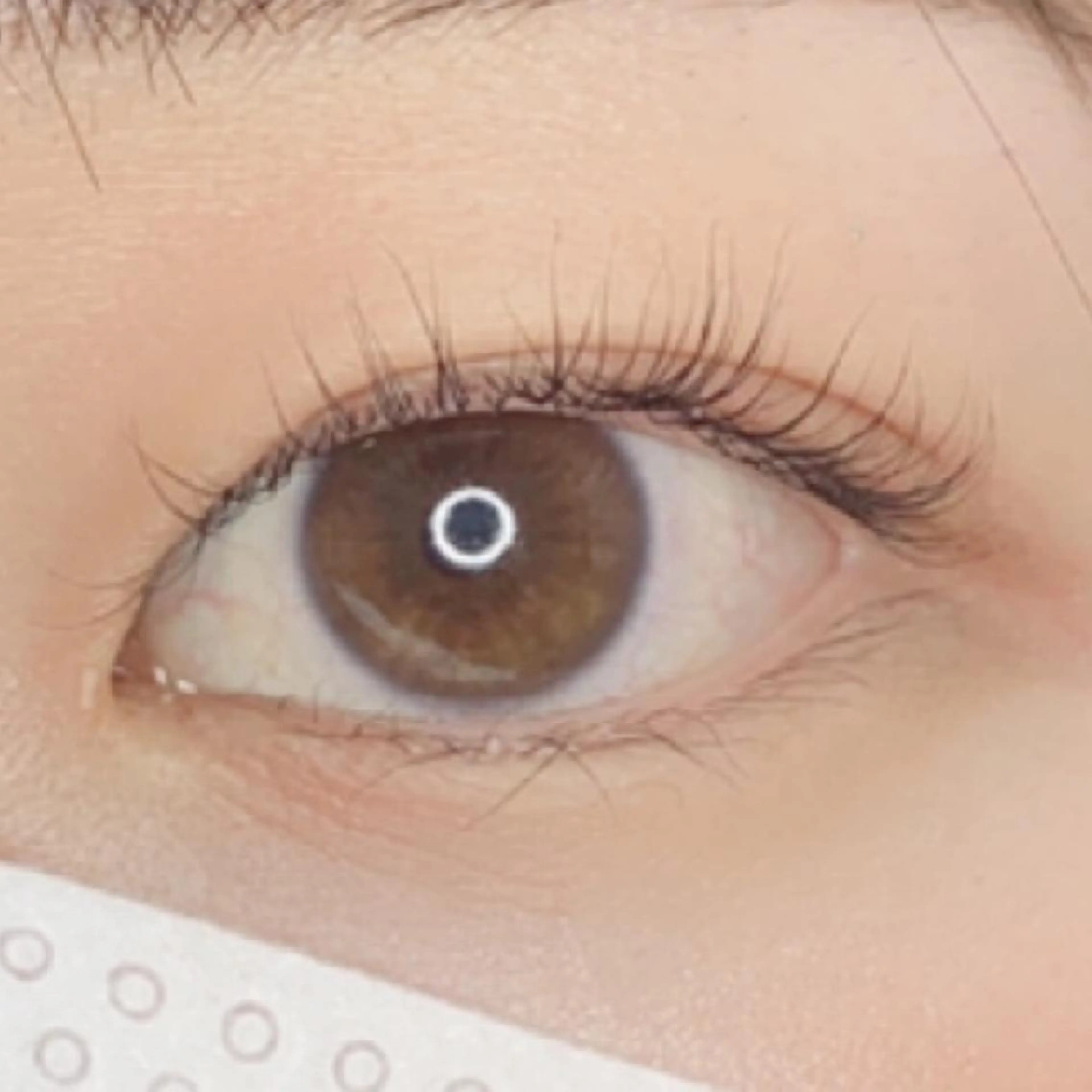 マツエク・マツパ Ayumi.dre 💎A《2階》のマツエク・マツパデザイン