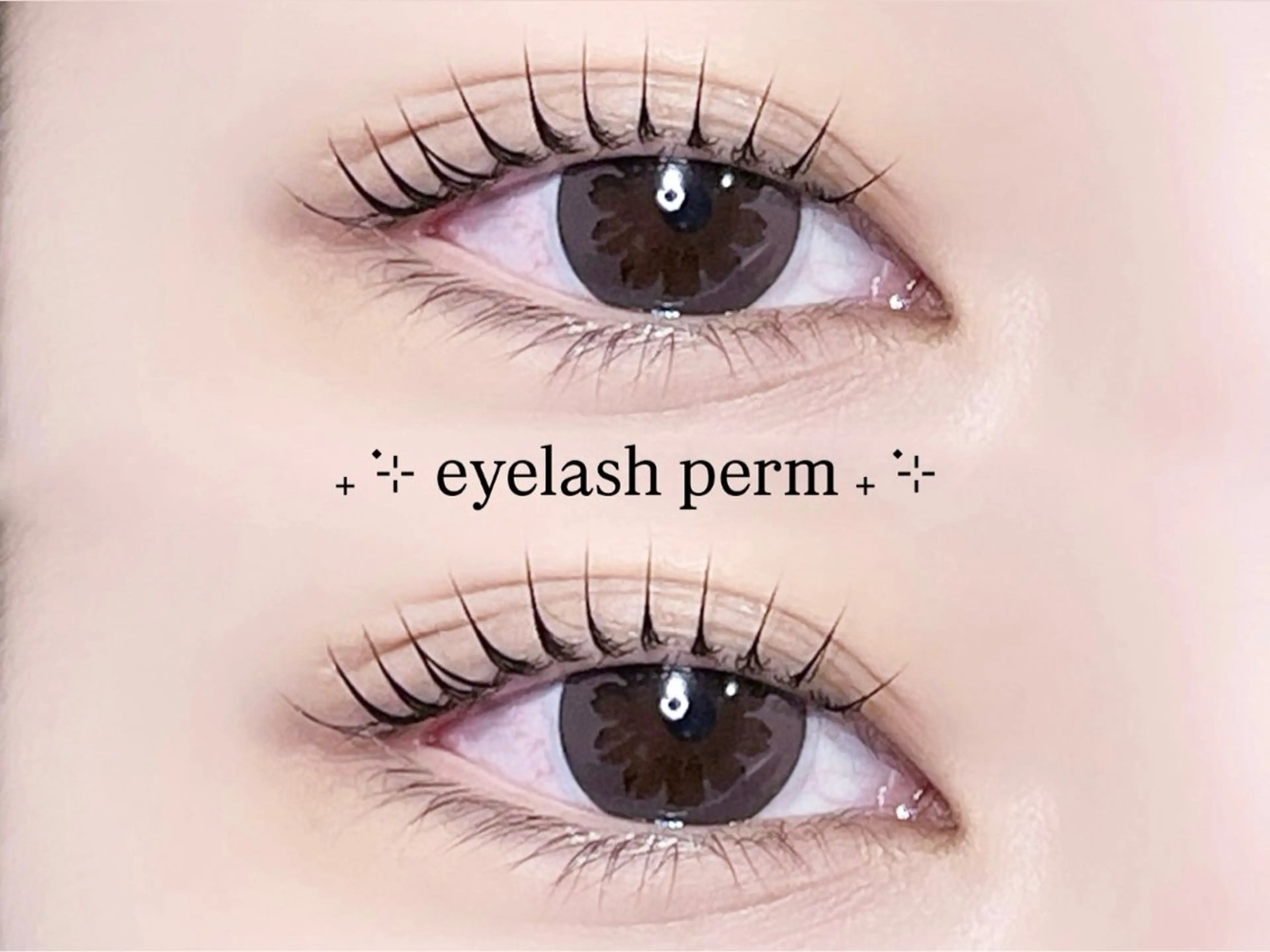 3月限定価格🪩【 まつ毛パーマ(ロッド変更可) 】の写真