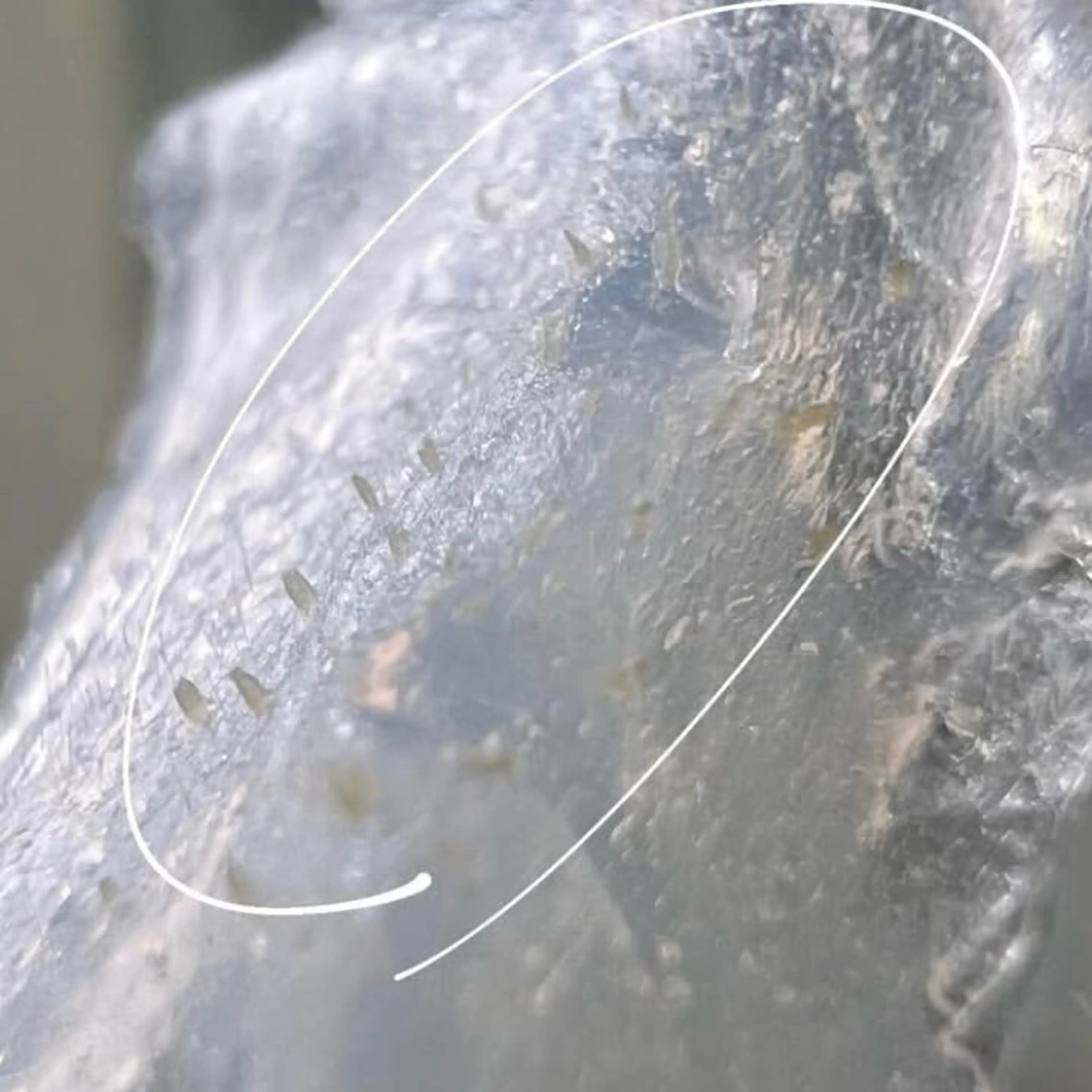 お顔を美しく魅せる 眉毛専門店ディアリーの眉毛・アイブロウイメージ