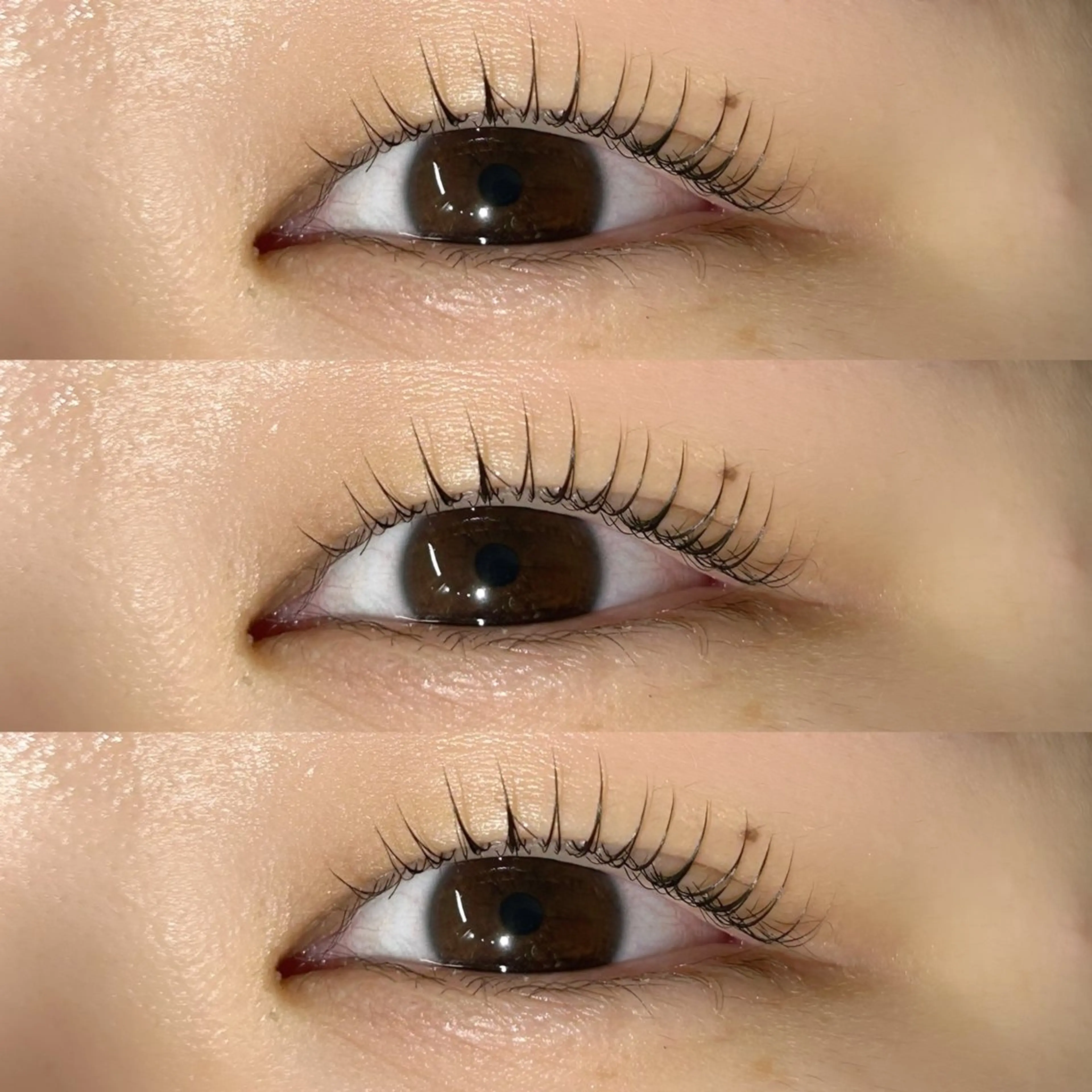 マツエク・マツパ マツパ LAUREL🪽 miyu/マツエクのマツエク・マツパデザイン