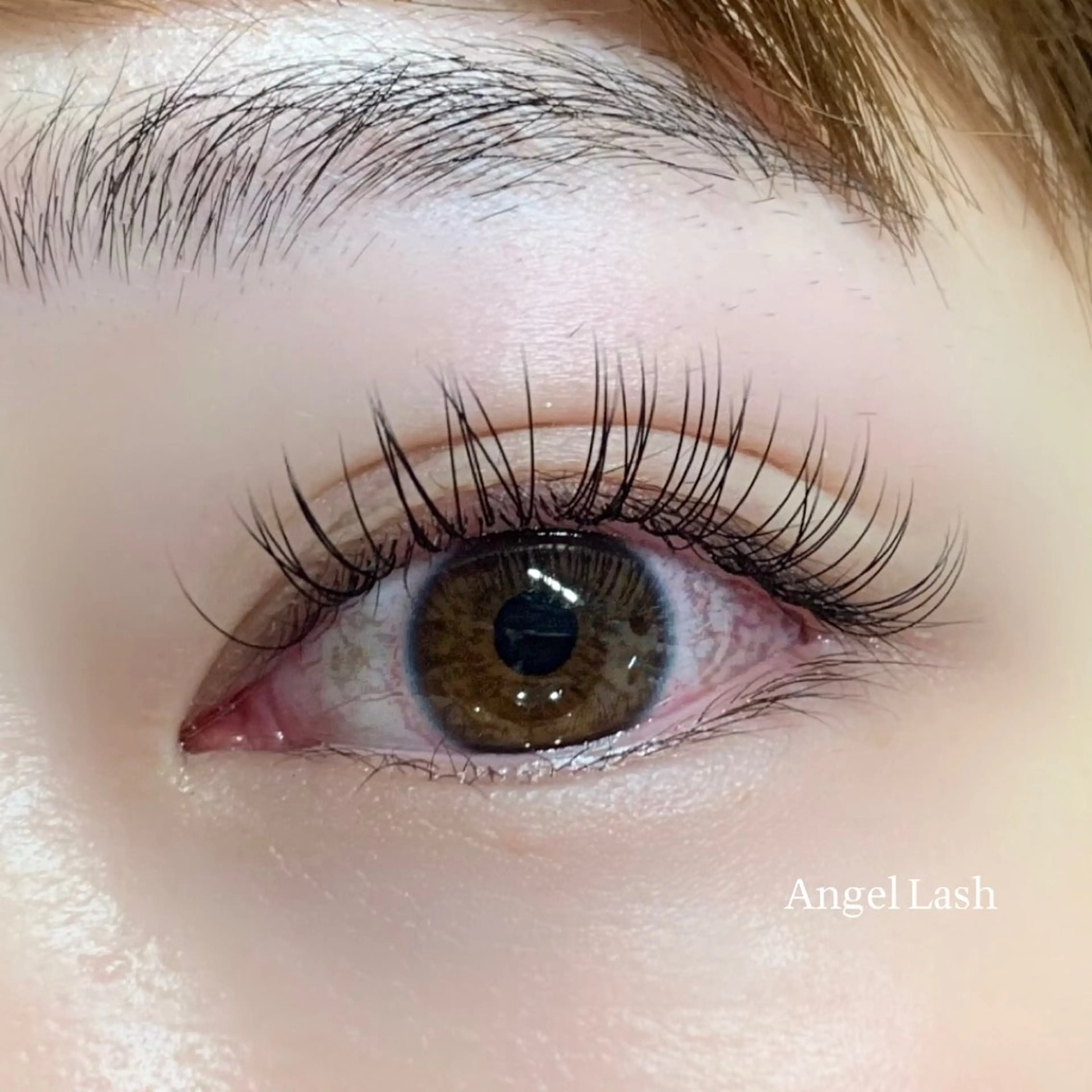 マツエク・マツパ フラットラッシュ THE EYEBROW 「ザ・アイブロウ」大宮店所属・sugimachi 🦋のマツエク・マツパデザイン