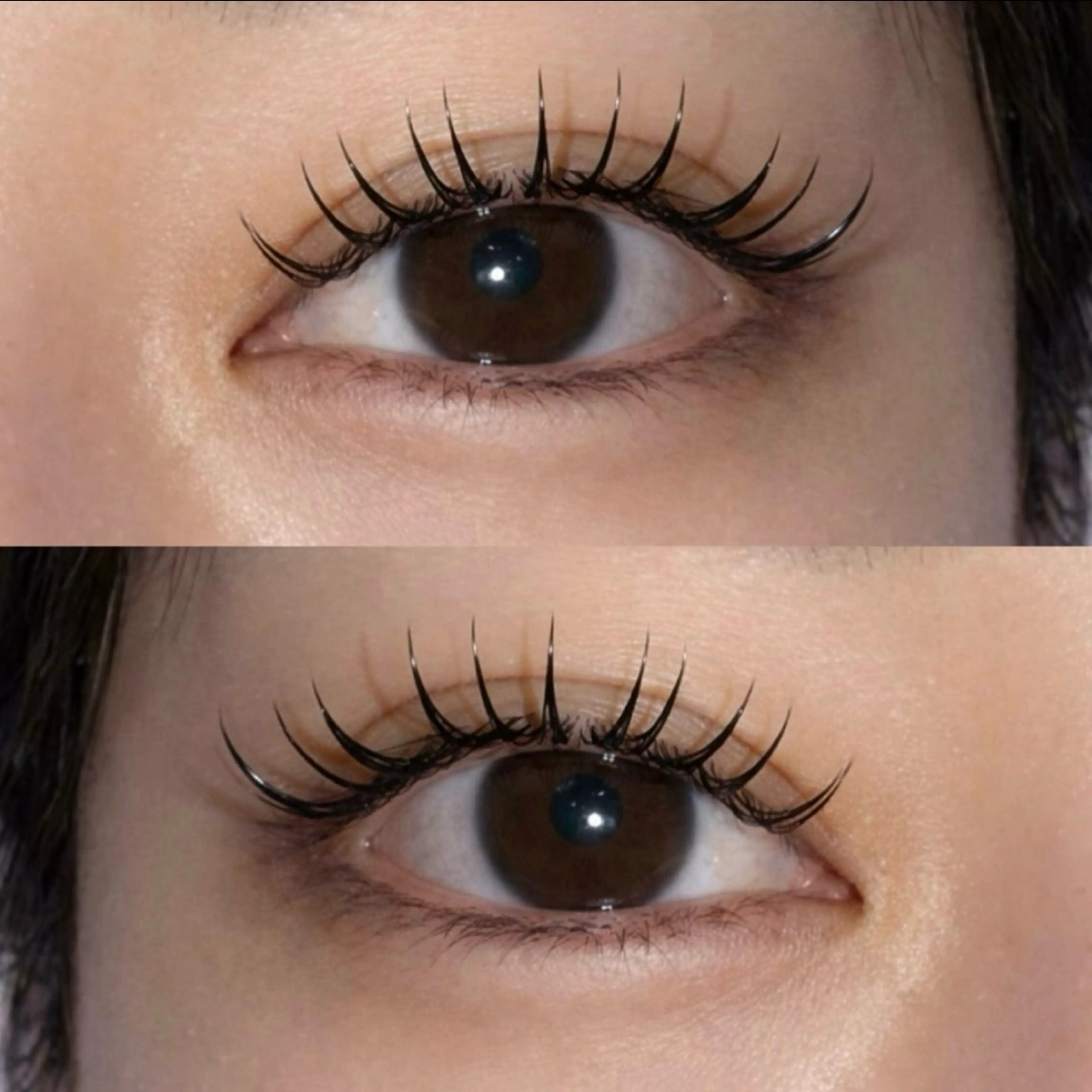 フラットラッシュ160本の写真