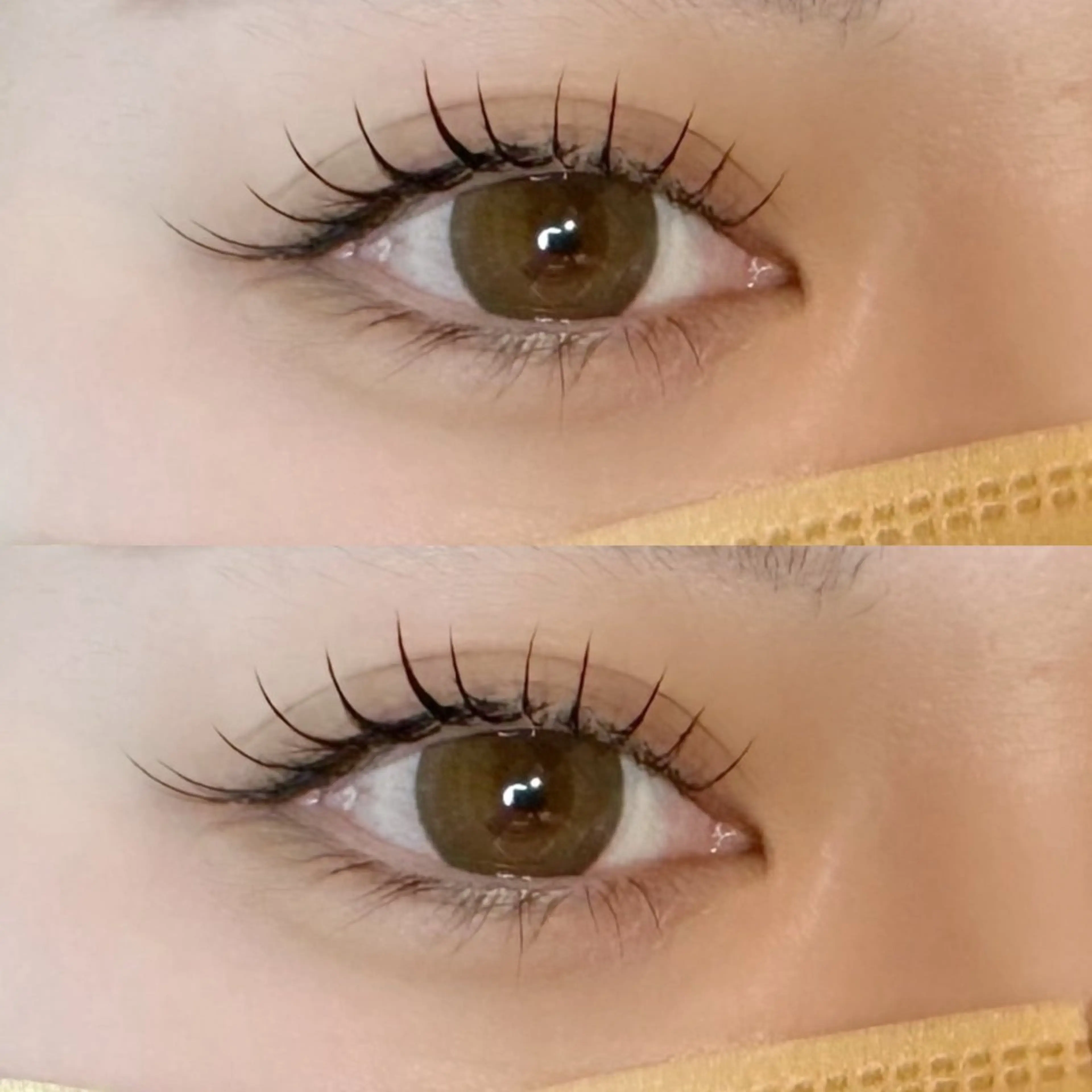 ♡新規限定‪‪♡シングルラッシュ80本の写真