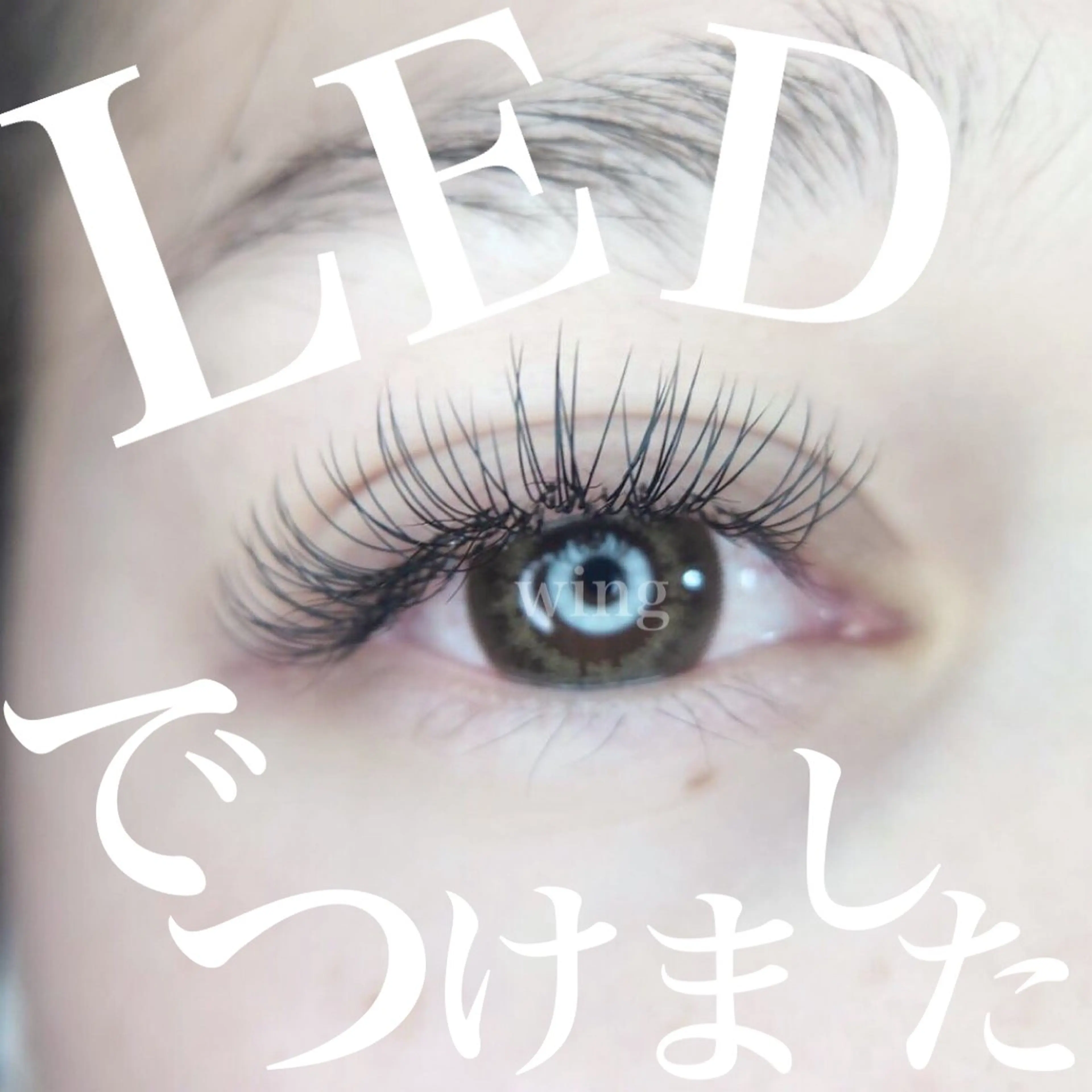 LEDフラットラッシュ80本の写真