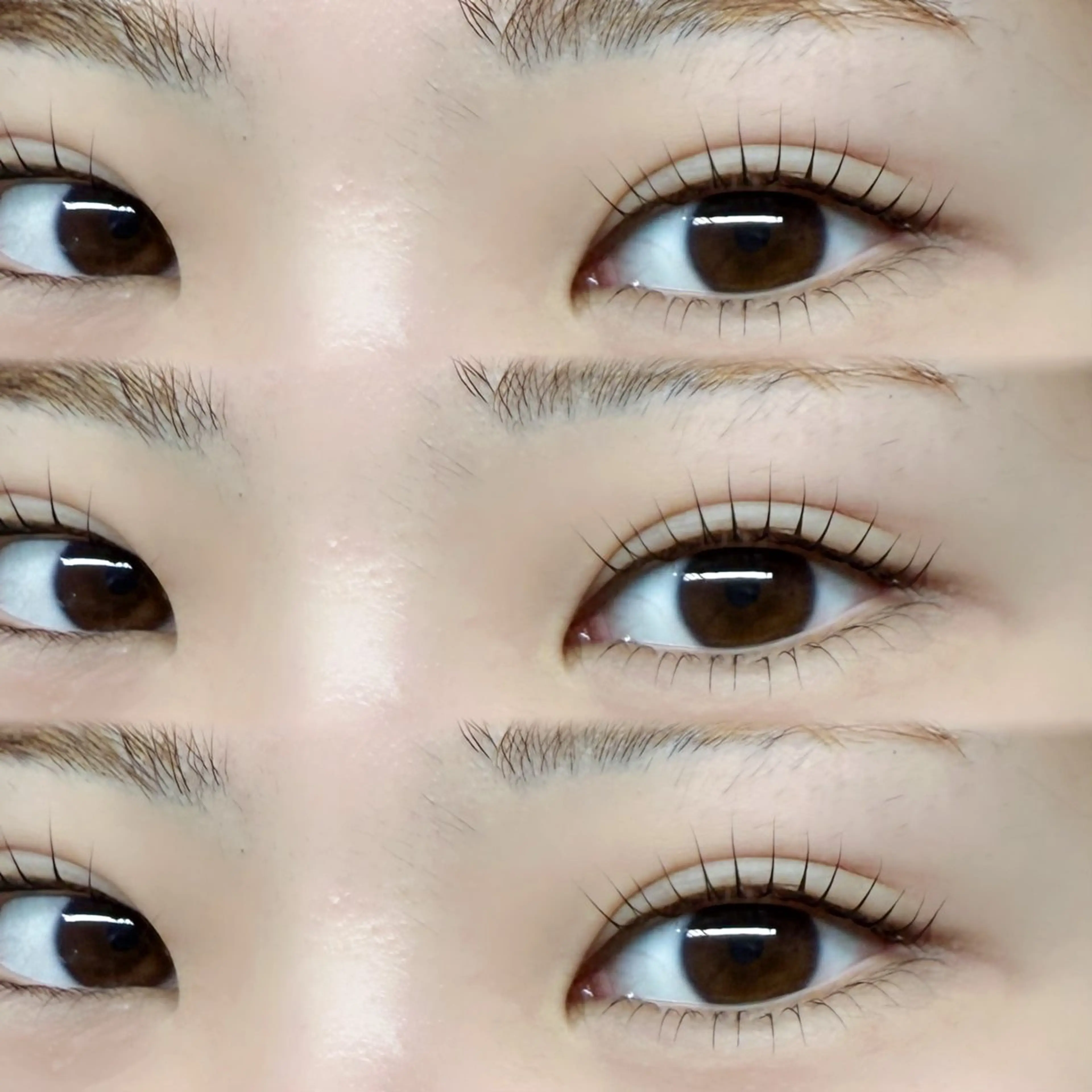 上下まつげパーマ+トリートメント付 ¥6,900の写真