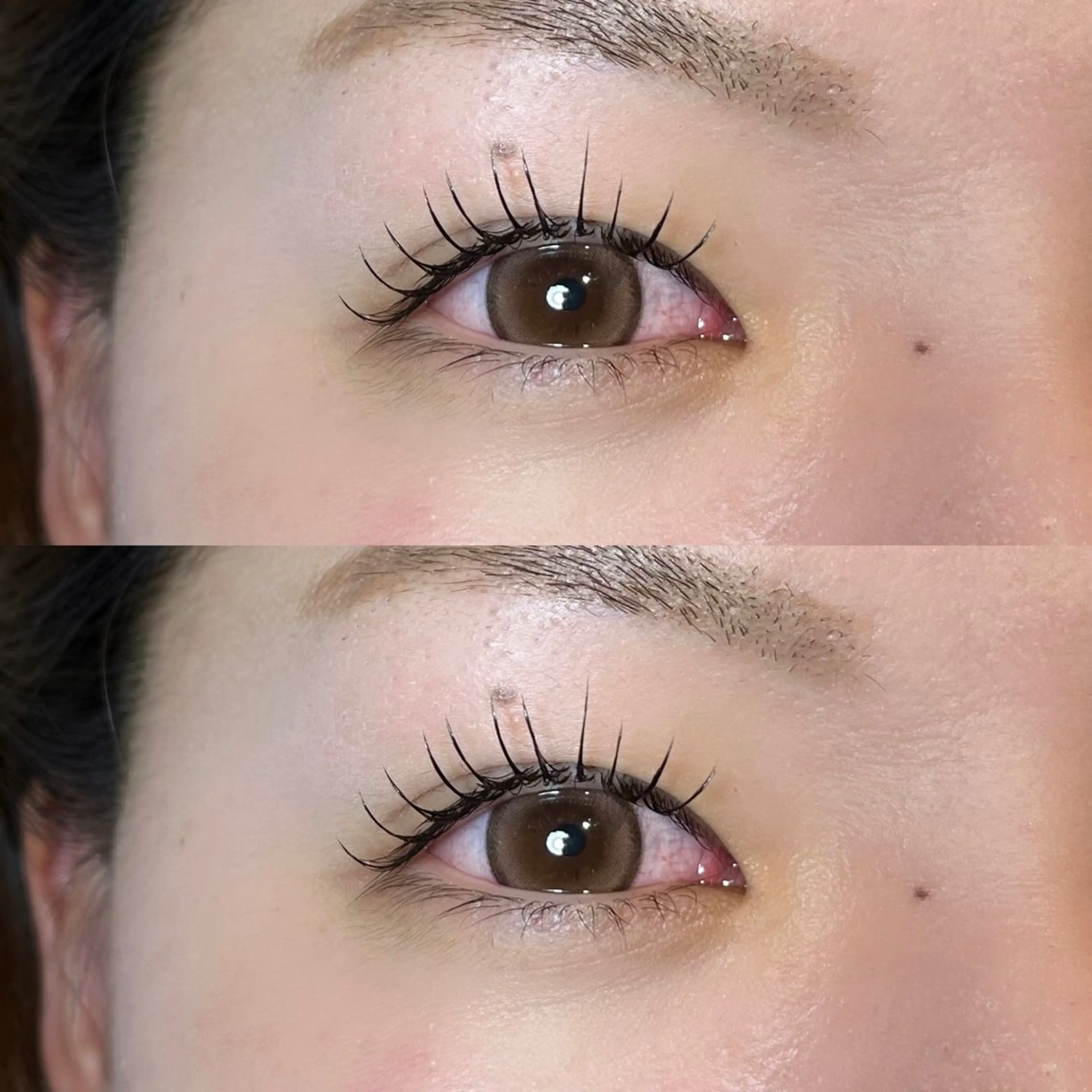 マツエク・マツパ 𝒆𝒊𝒈𝒉𝒕 杏花のマツエク・マツパデザイン