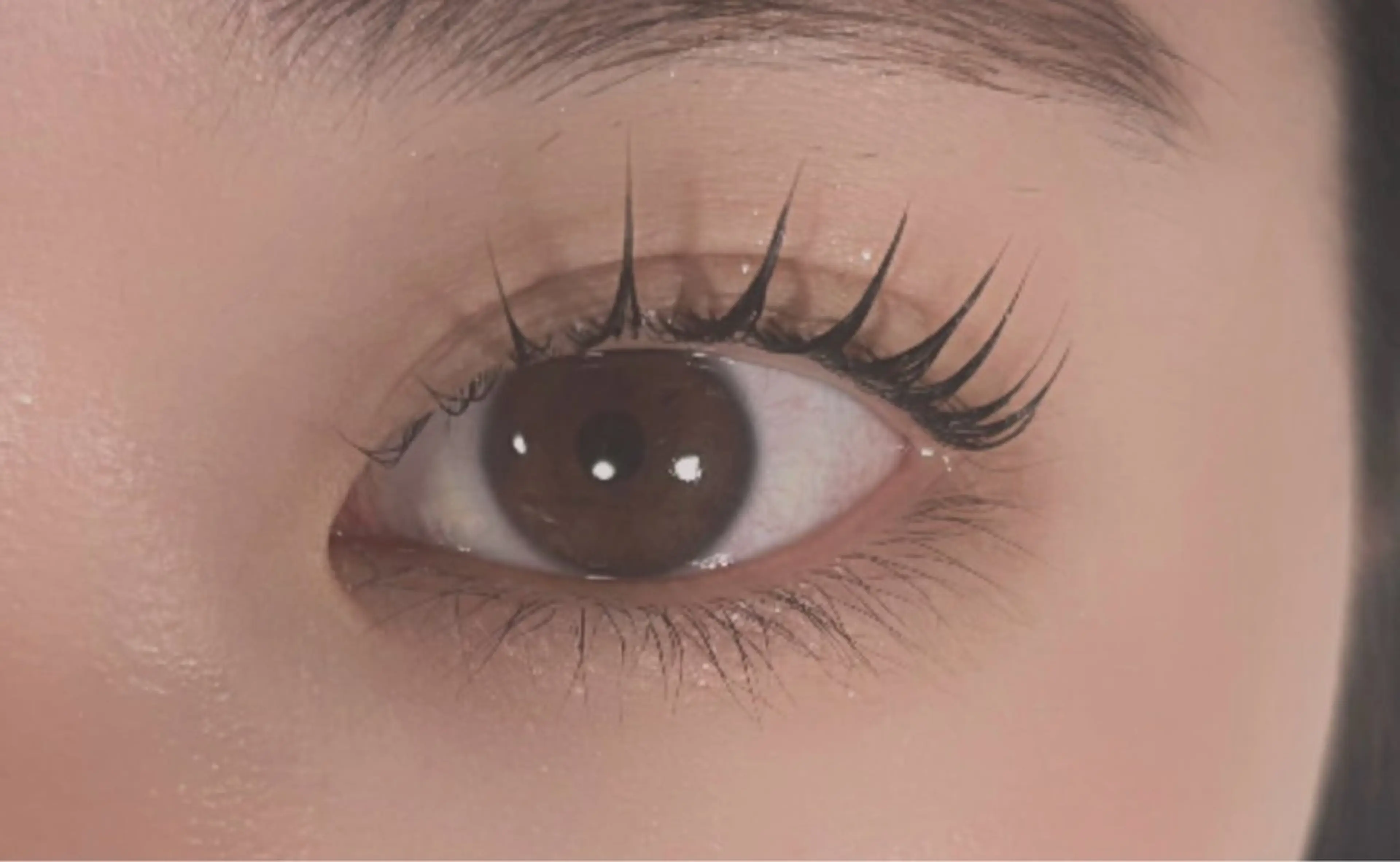 マツエク・マツパ マツパ マリーテレジア 🐨MIURAのマツエク・マツパデザイン