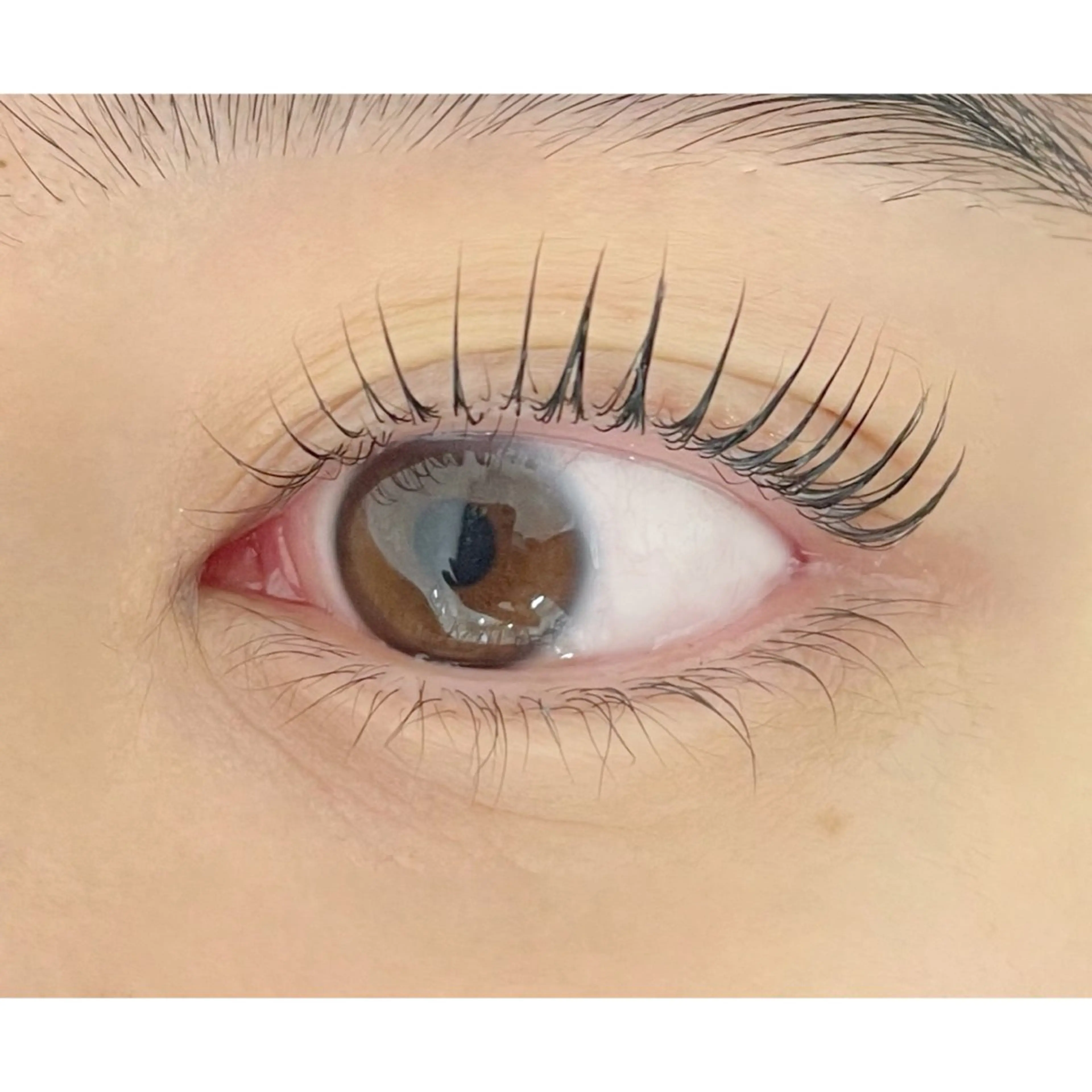 マツエク・マツパ Bianca金町🤍 HASHIMOTOのマツエク・マツパデザイン