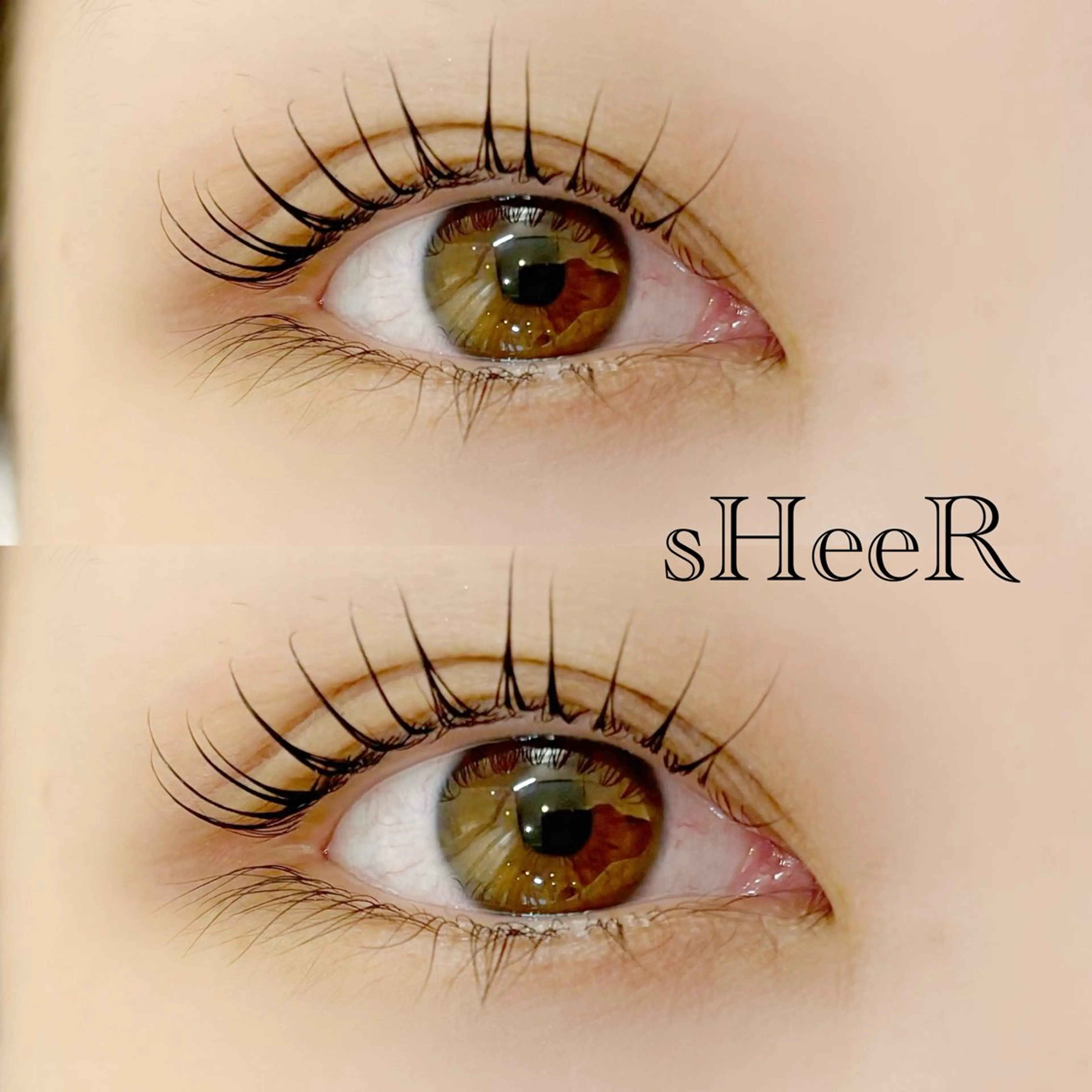 【まつ毛で暗い印象を華やかにしたい方💡】選べるラッシュリフト〈束感コーティング付き〉の写真