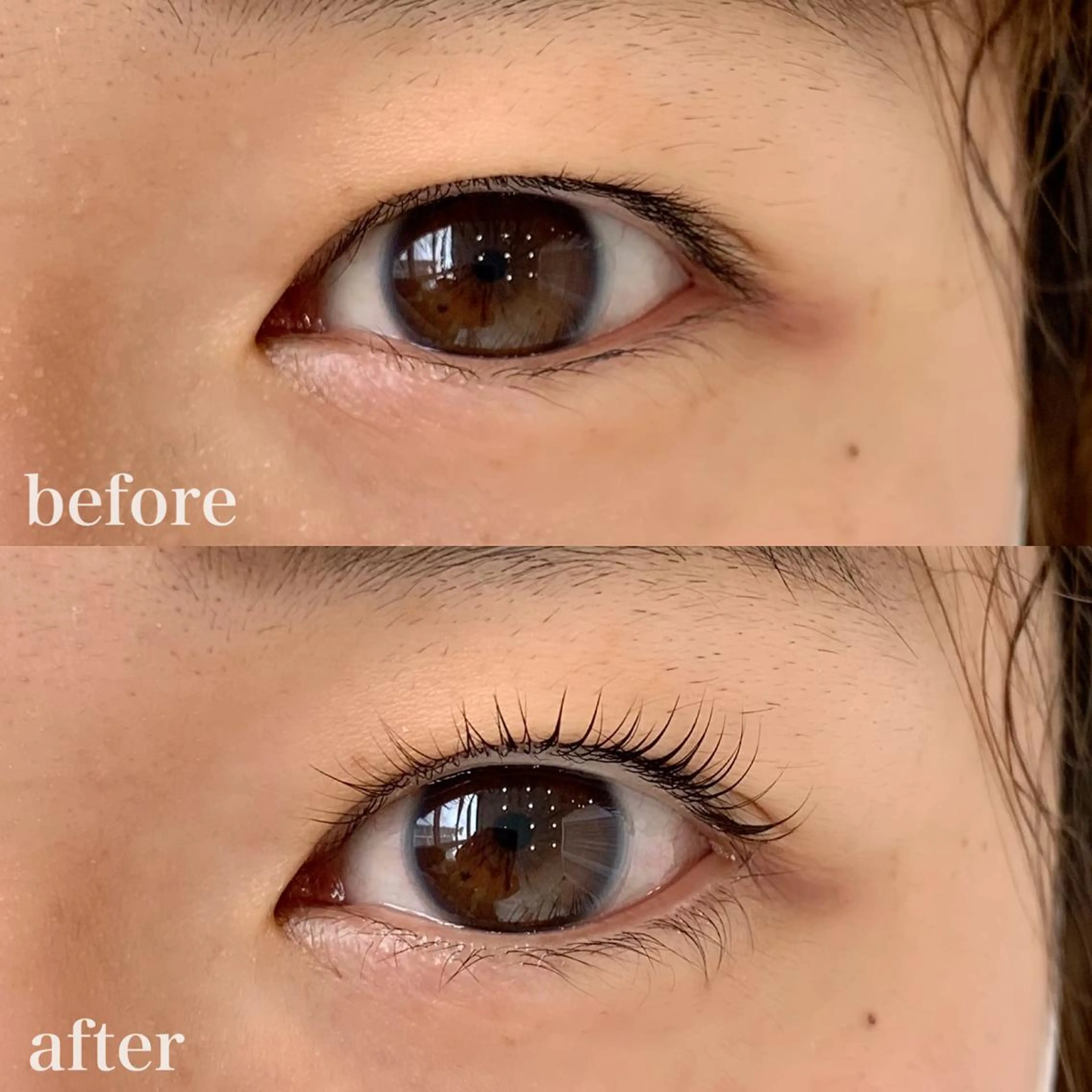 マツエク・マツパ Dカール WHITE EYE 🤍Mayukaの眉毛・アイブロウイメージ