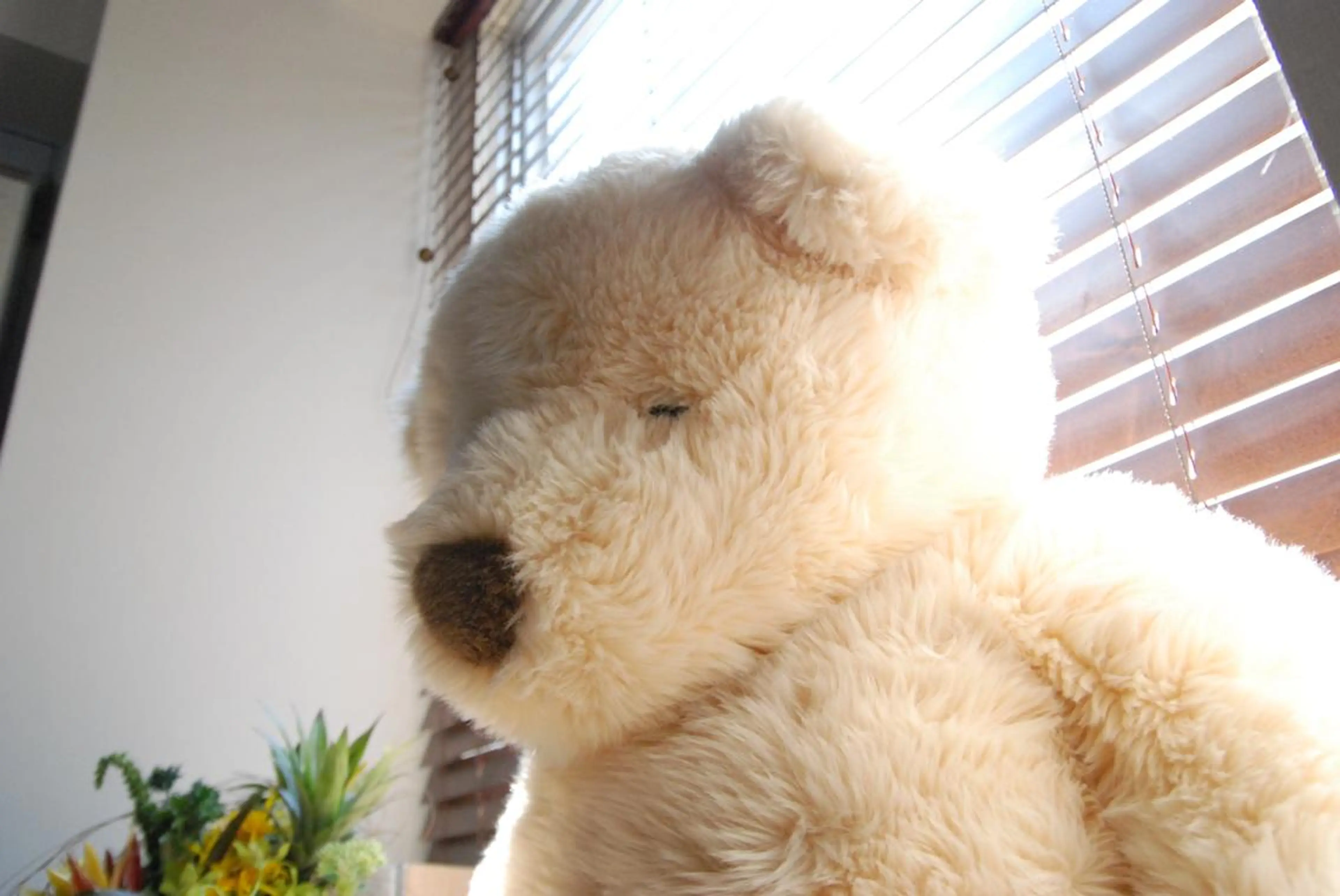 ジェルネイルのオフのみの写真