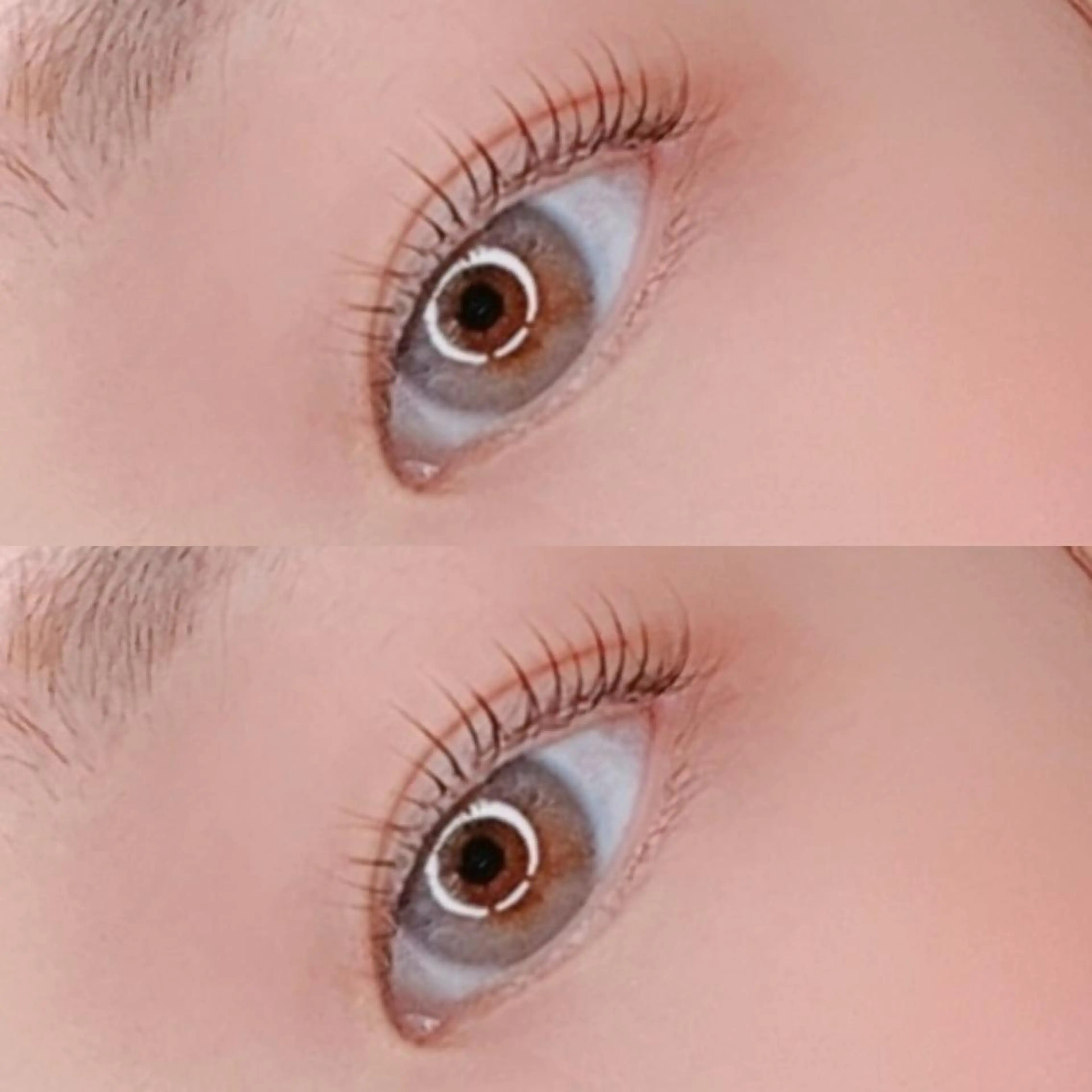 【本日限定★ラッシュリフト¥4000】一重さんや奥二重さんにオススメ♡​〜​カールが瞳の奥行き感を演出します​〜​の写真