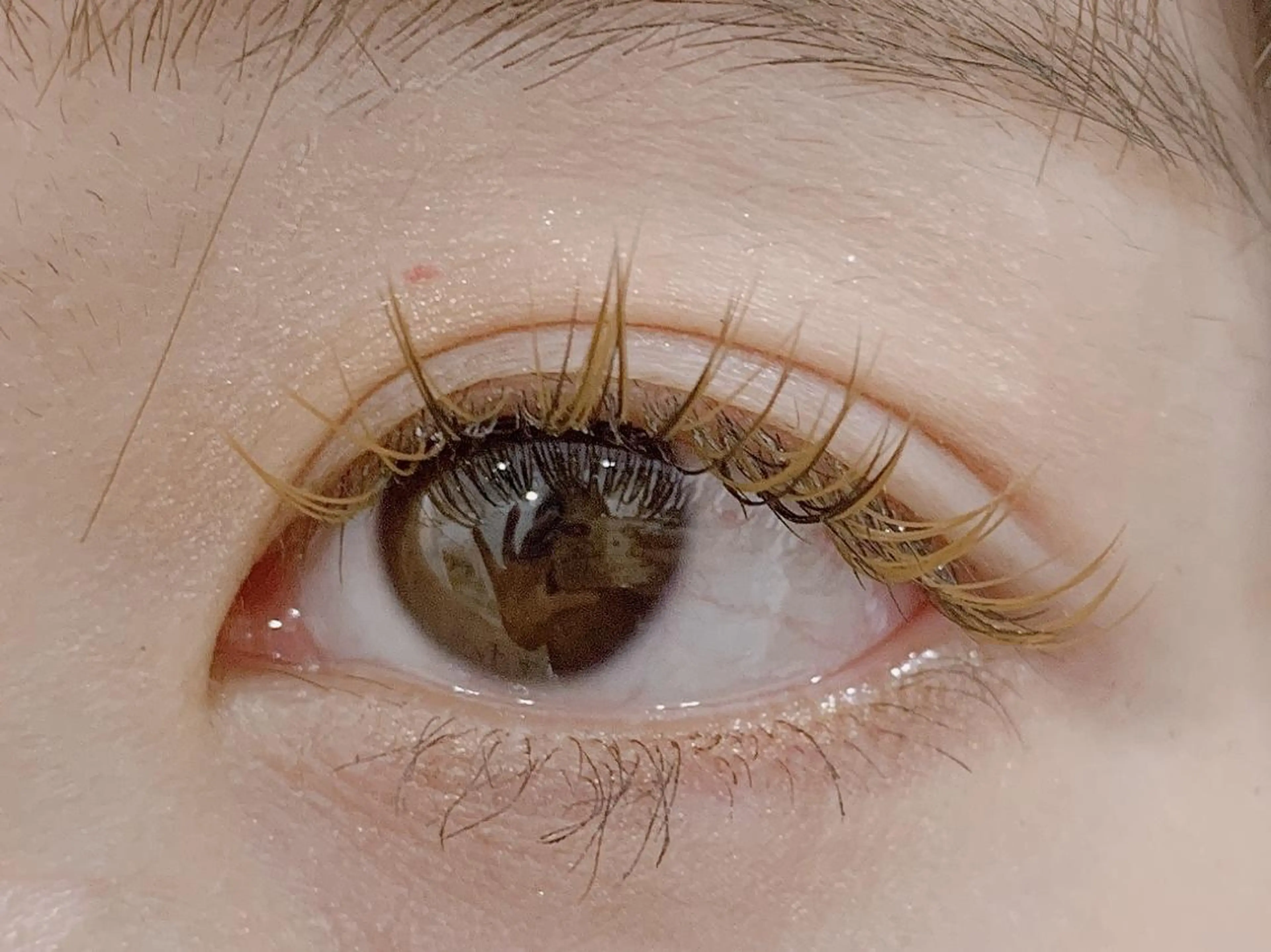 マツエク・マツパ カラーマツエク Kuu+r 銀座並木通り店のマツエク・マツパデザイン