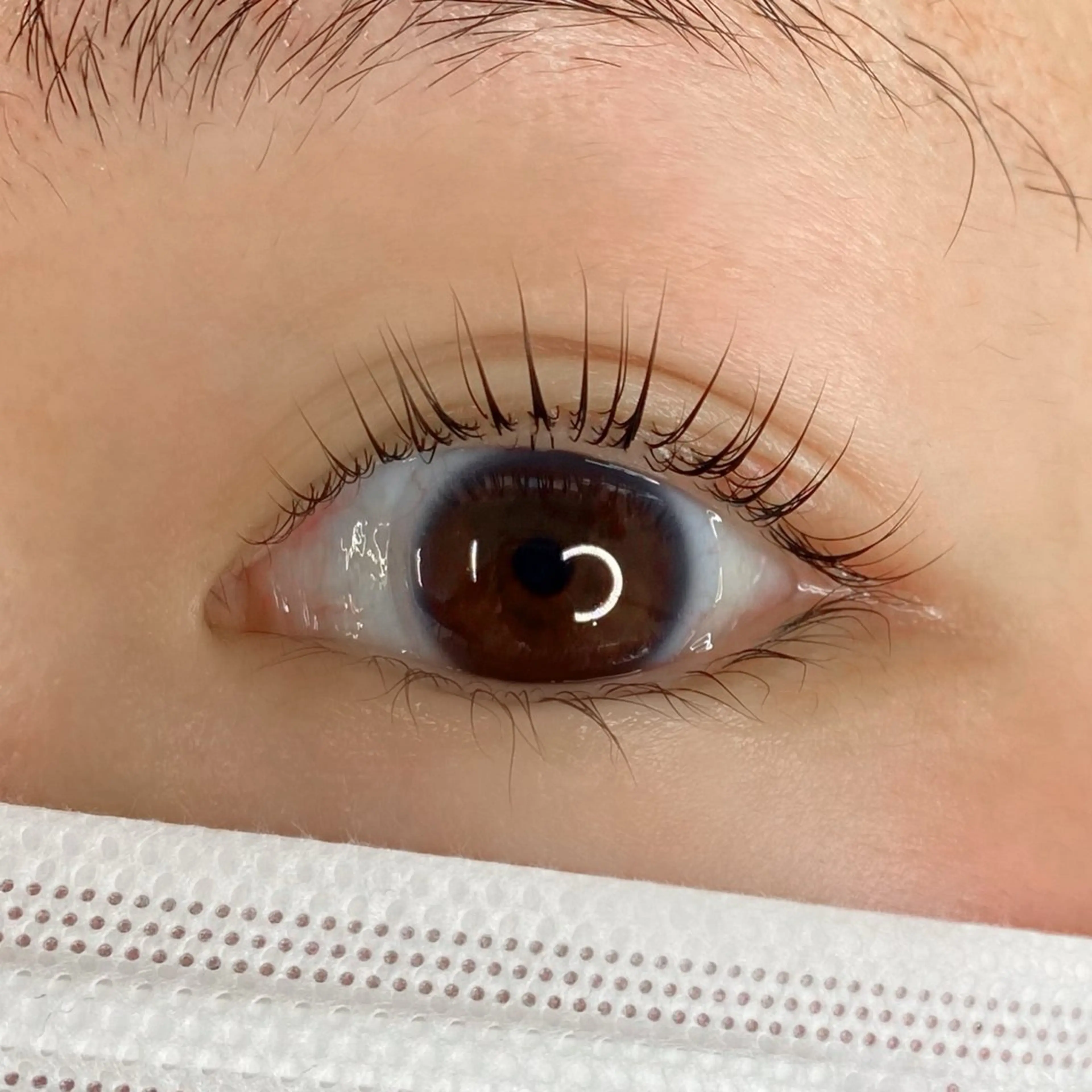 マツエク・マツパ まつげパーマ 一重×まつ毛パーマ マツパ U too e's MANAE🌼の眉毛・アイブロウイメージ