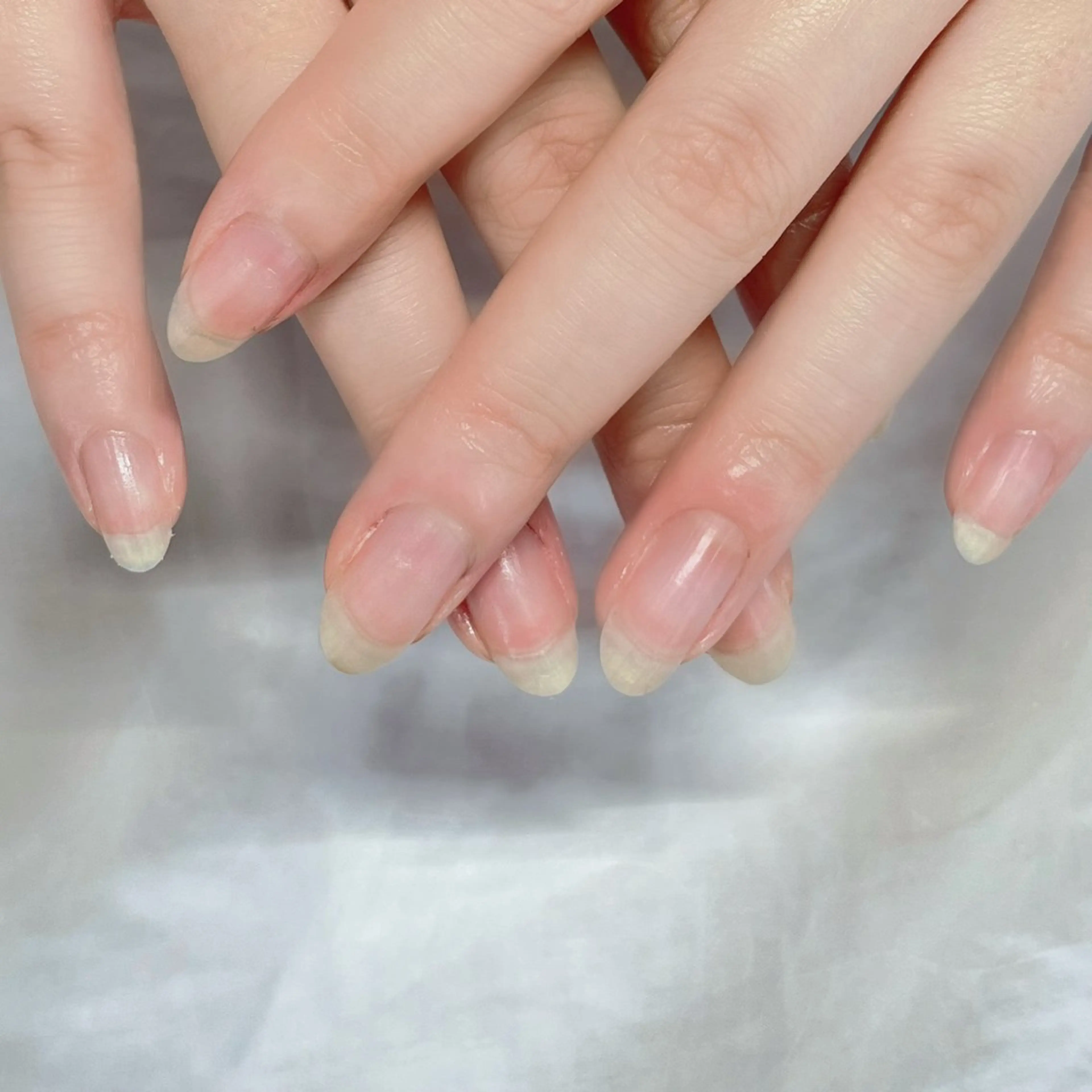 🩵ハンドジェルオフコース🩵の写真