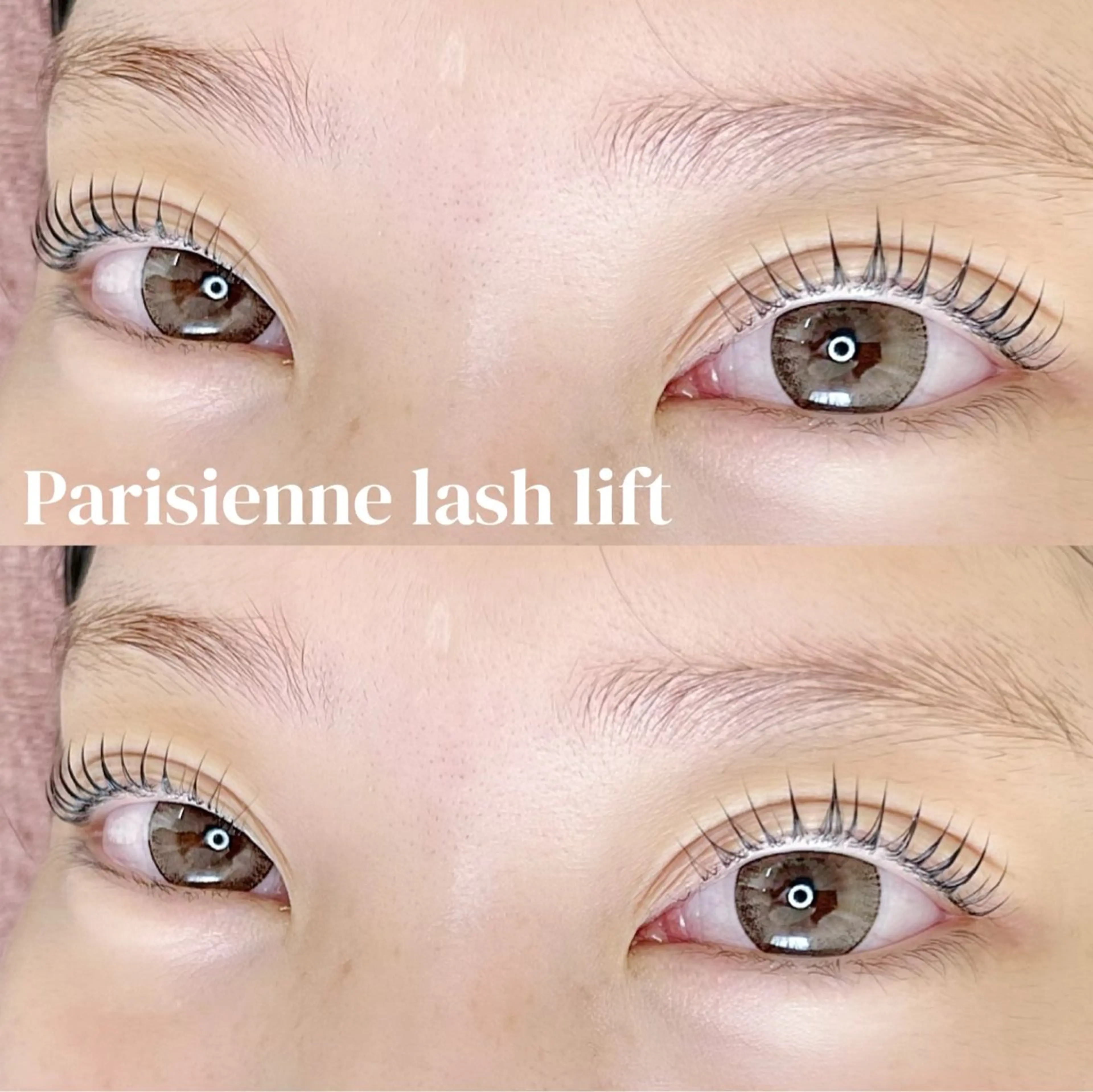 12月限定🥨パリジェンヌラッシュリフトの写真